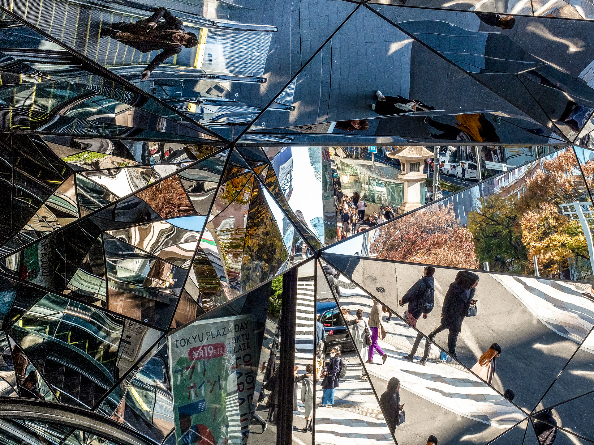 JAPON - «  Contre le ciel d’Automne … » - 14