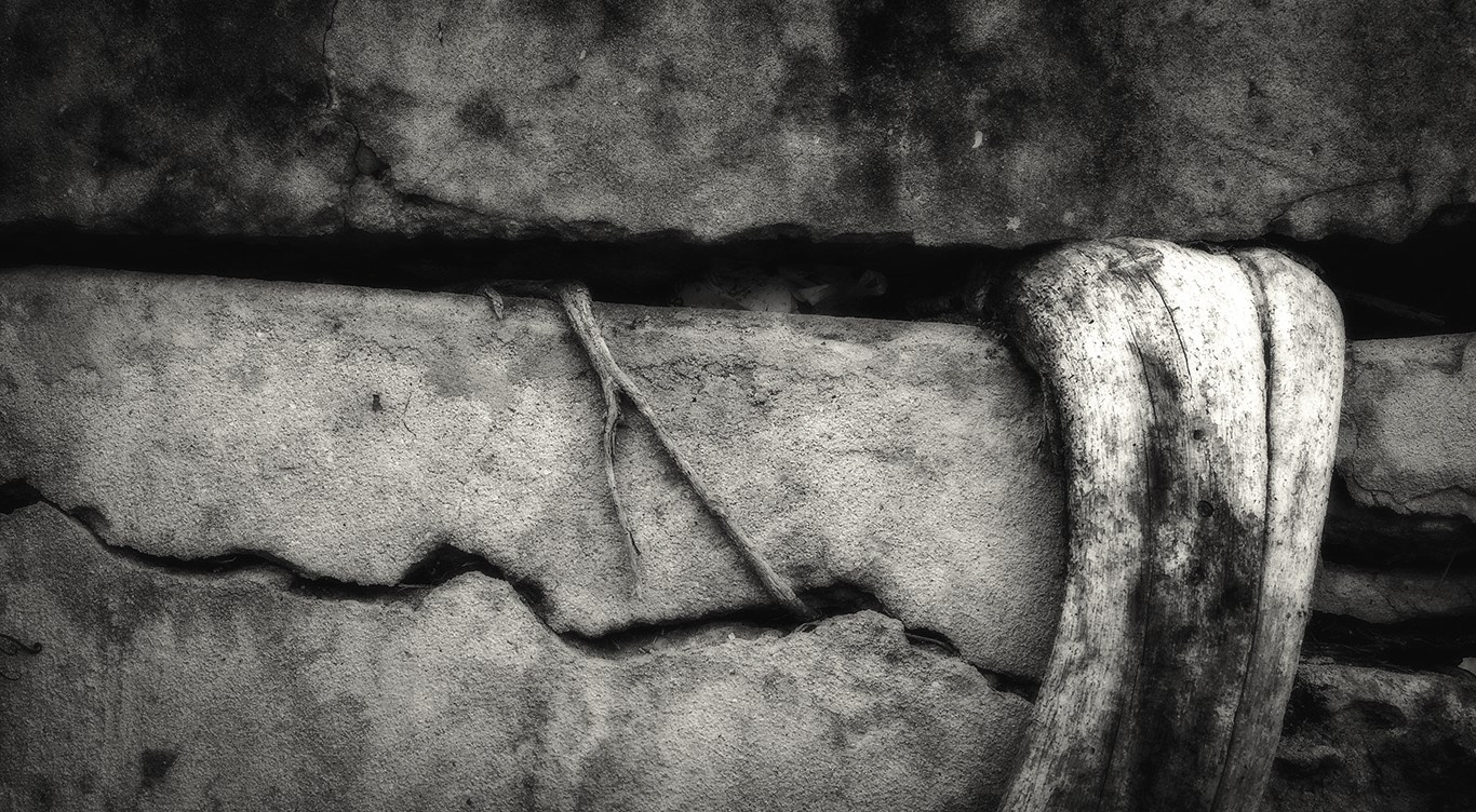 Arboressences - 27