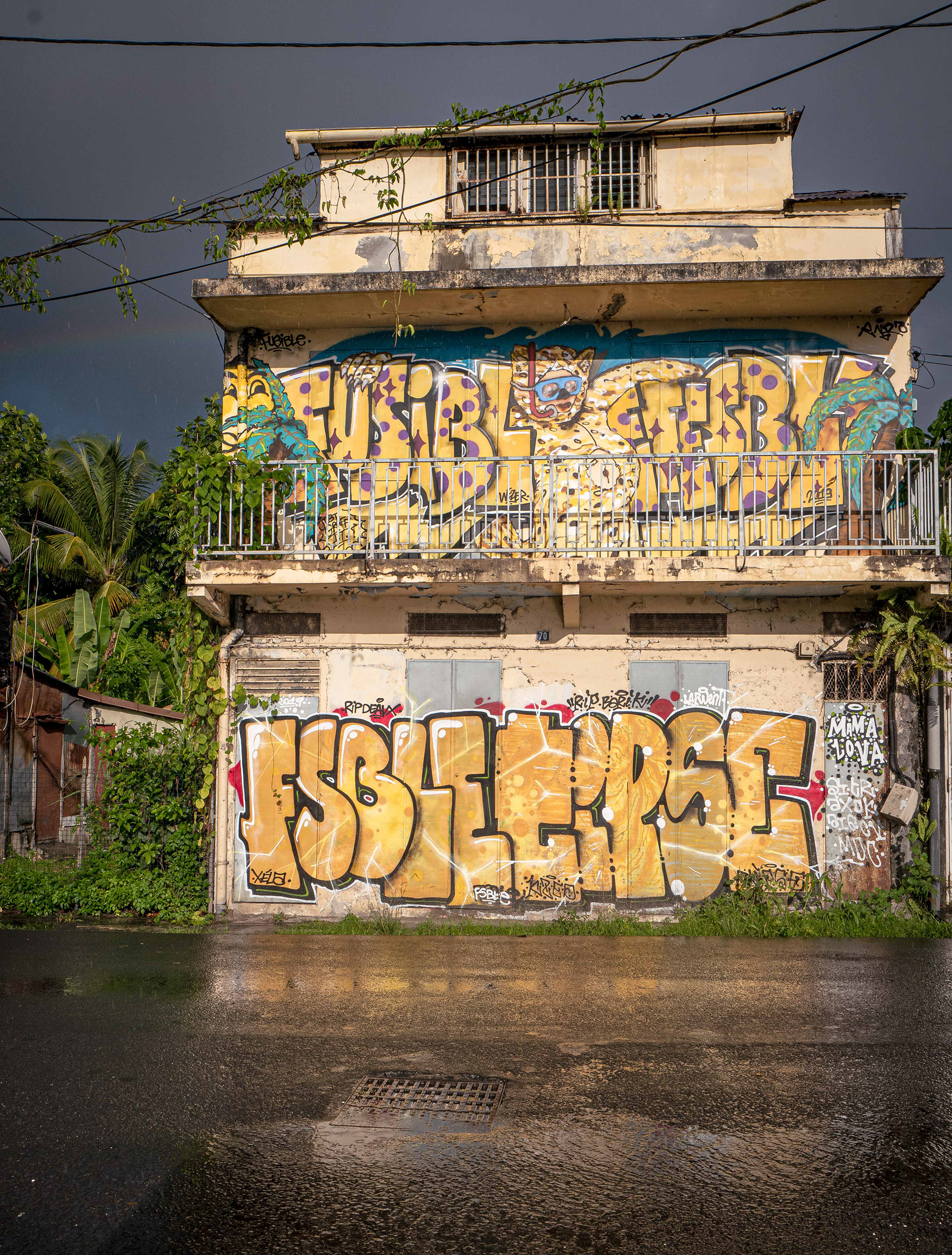 9- Miroir au Carénage