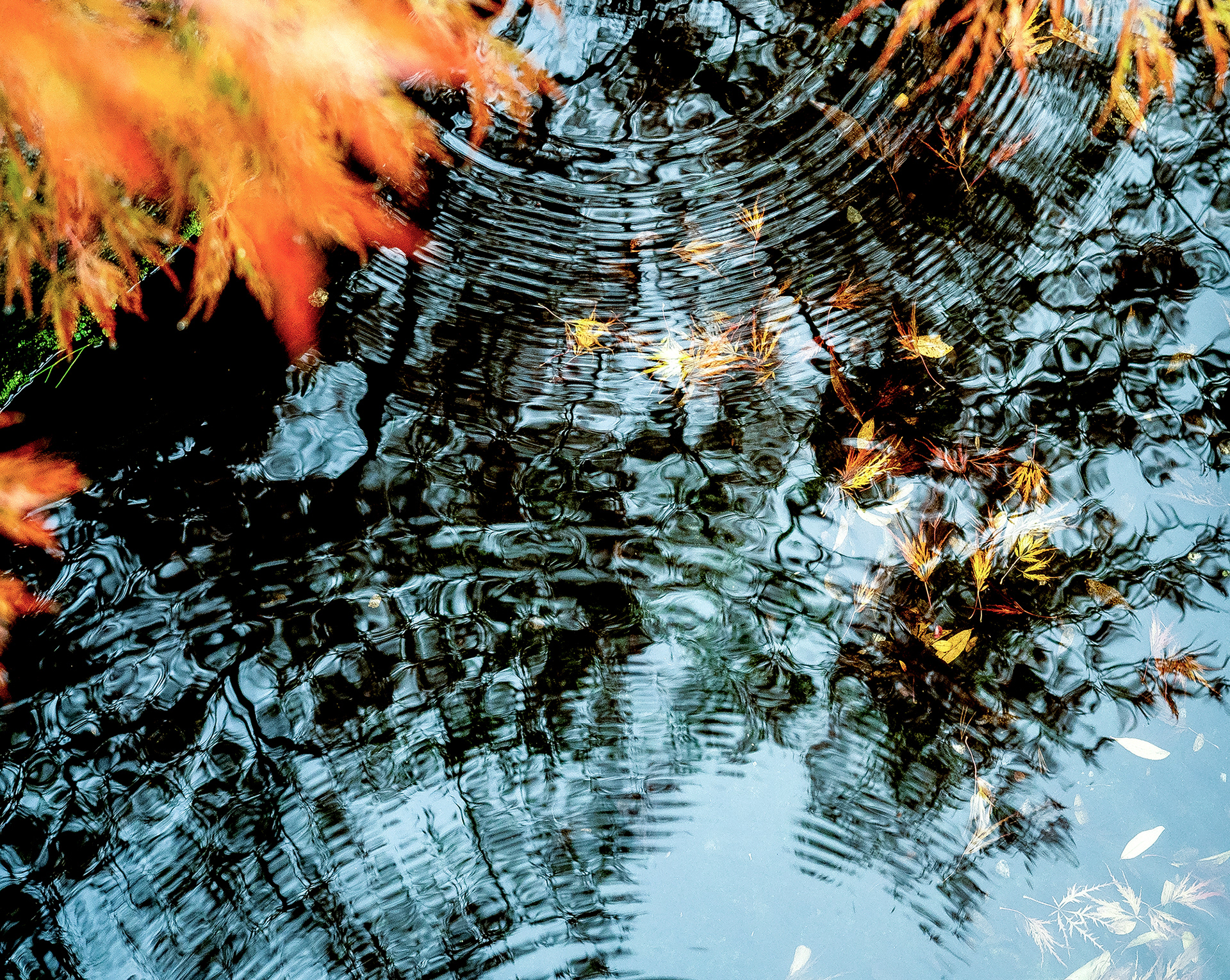 JAPON - « Le silence, le calme ... » - 6