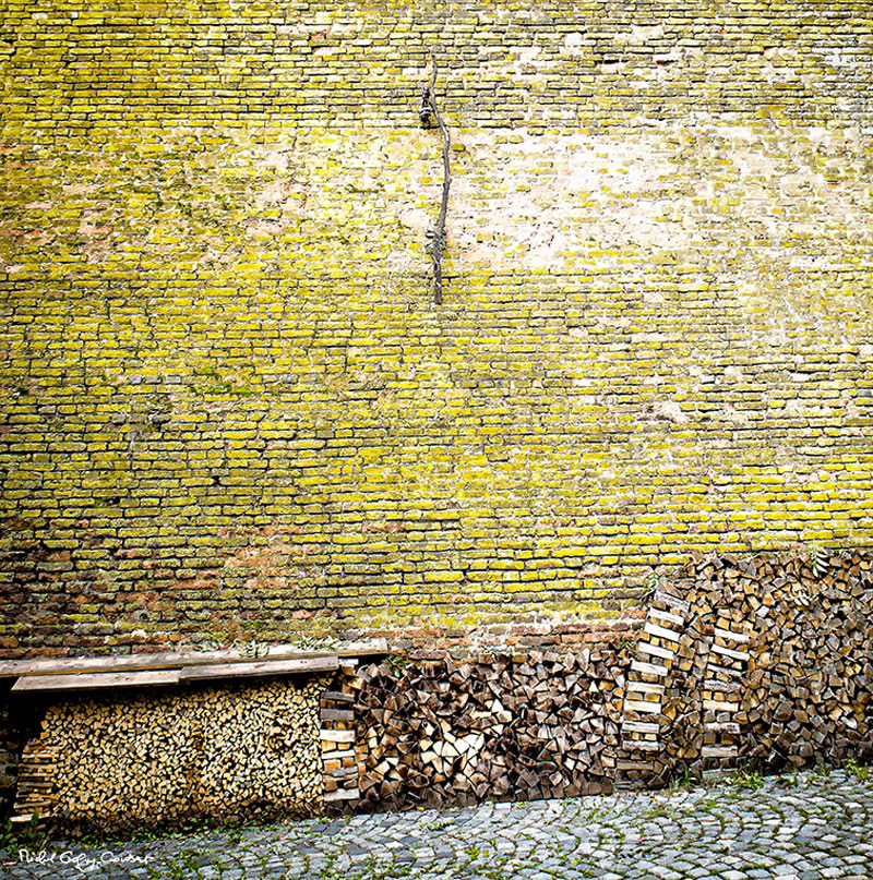 Le Mur, avant Jéricho