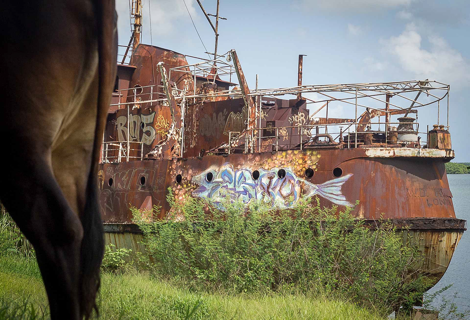 1- Souvenir de croisière à Baie-Mahault