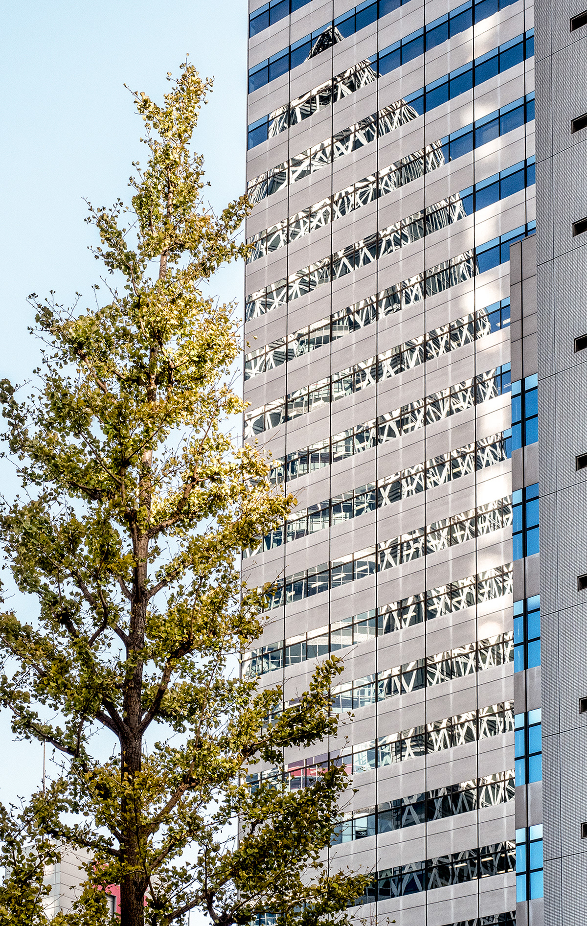 JAPON - «  Contre le ciel d’Automne … » - 6