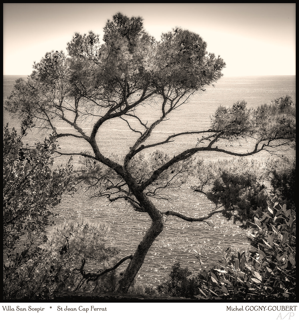Vertigo - 20