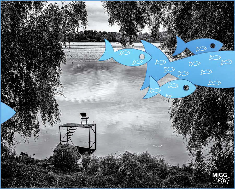 Vol de poissons drônes sur le Dniepr