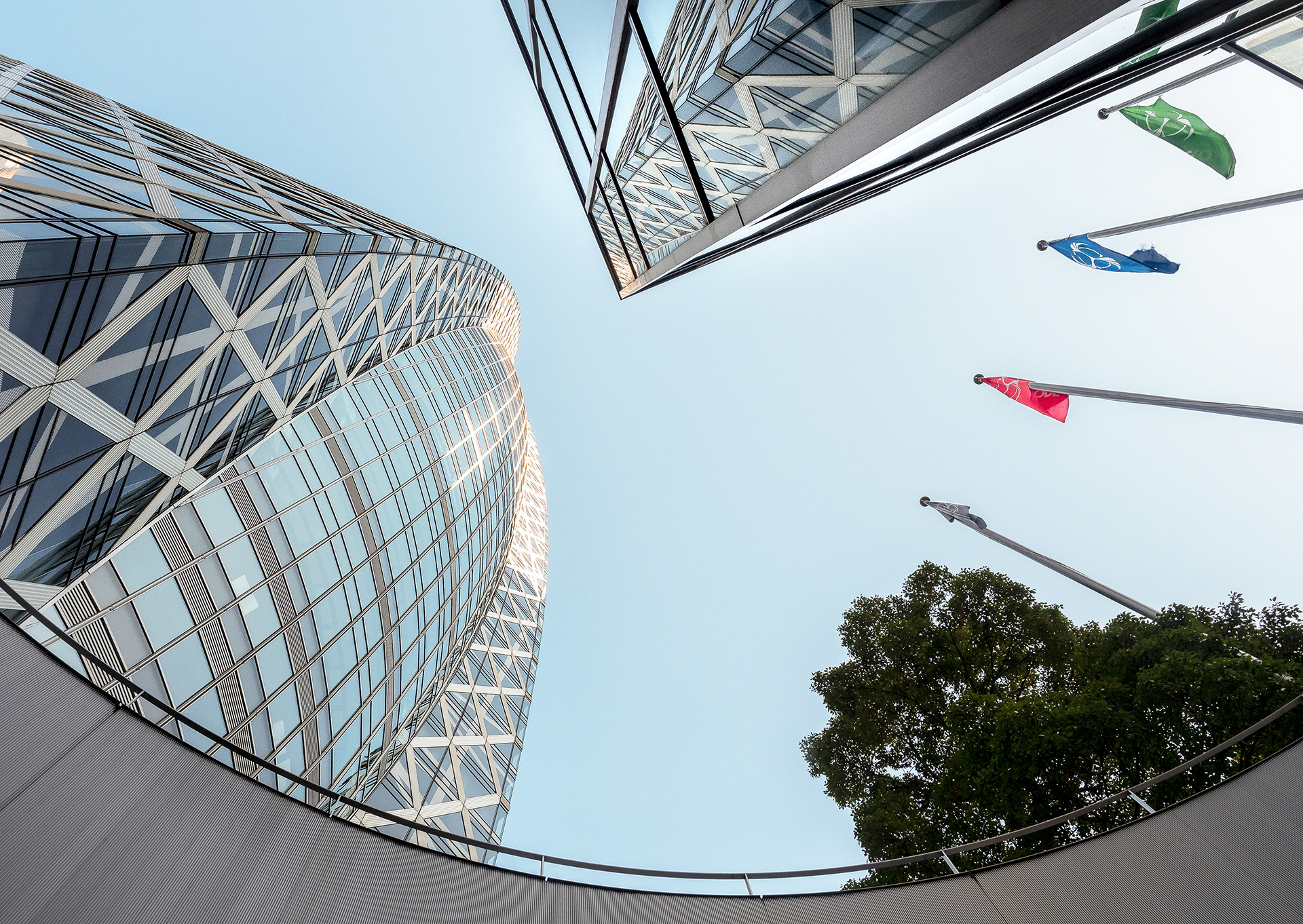 JAPON - «  Contre le ciel d’Automne … » - 4