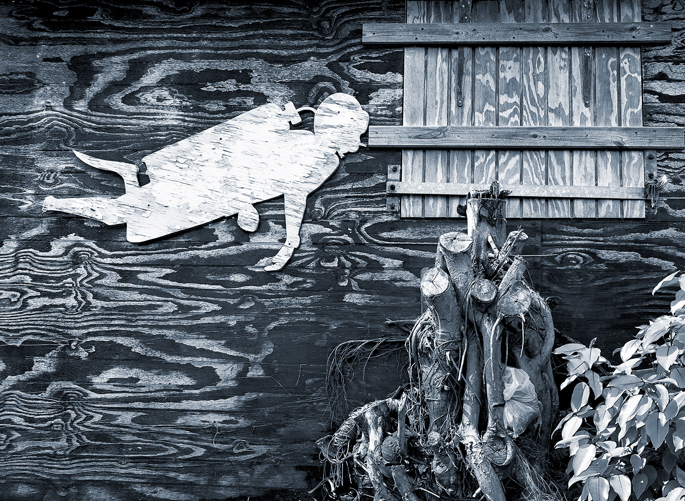 PoolArtFair 2019 : FRICHES - 12