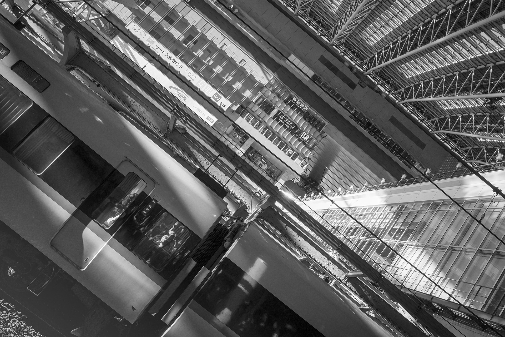 JAPON - «  Contre le ciel d’Automne … » - 1