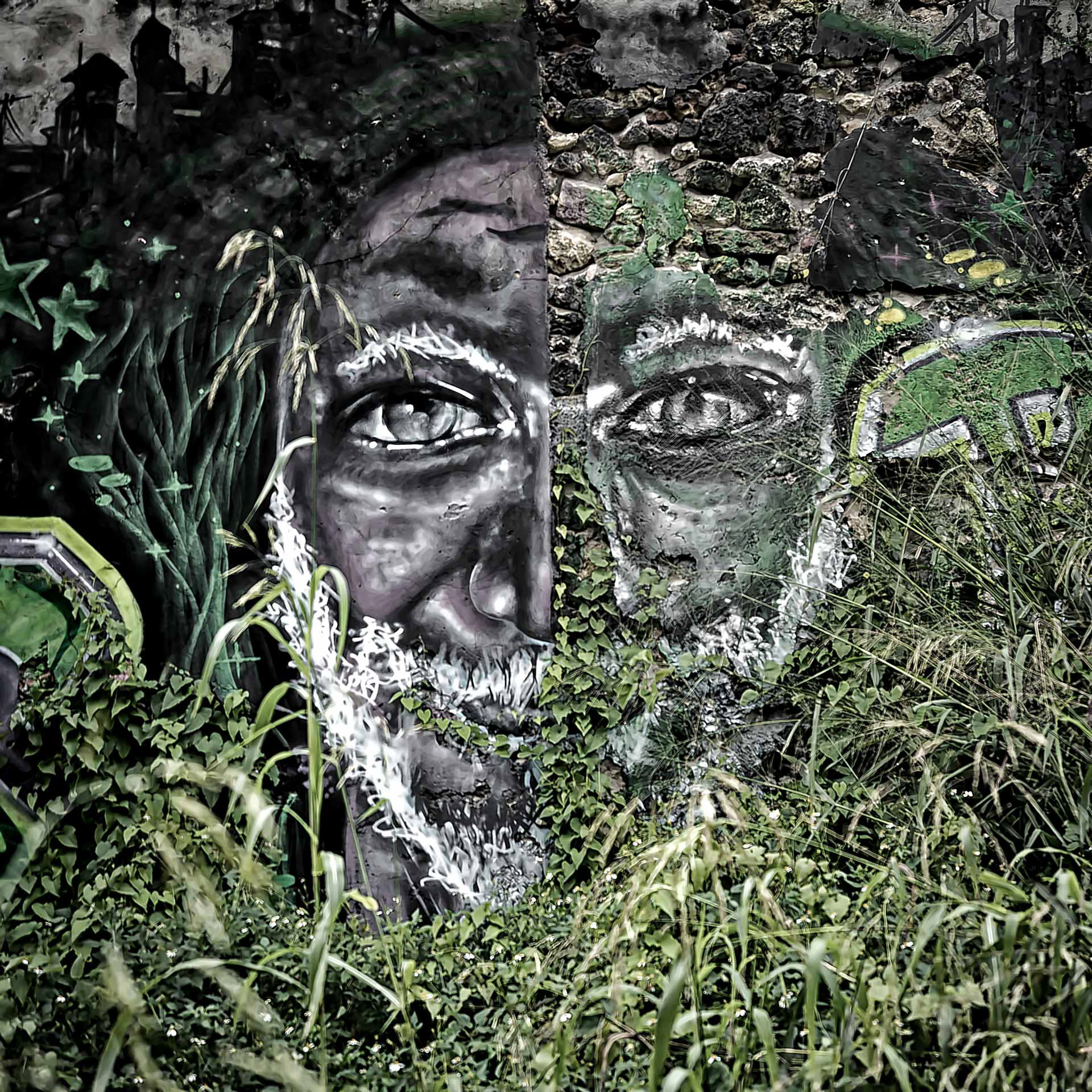 5- Sage vert muraille