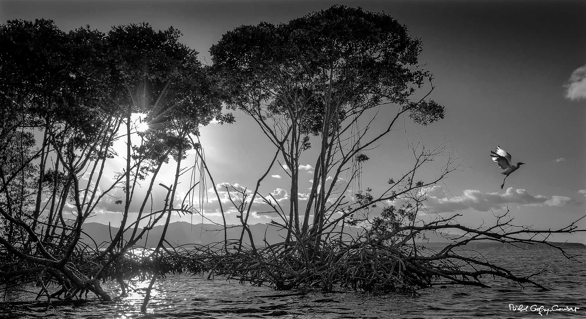 Promesses du Crépuscule