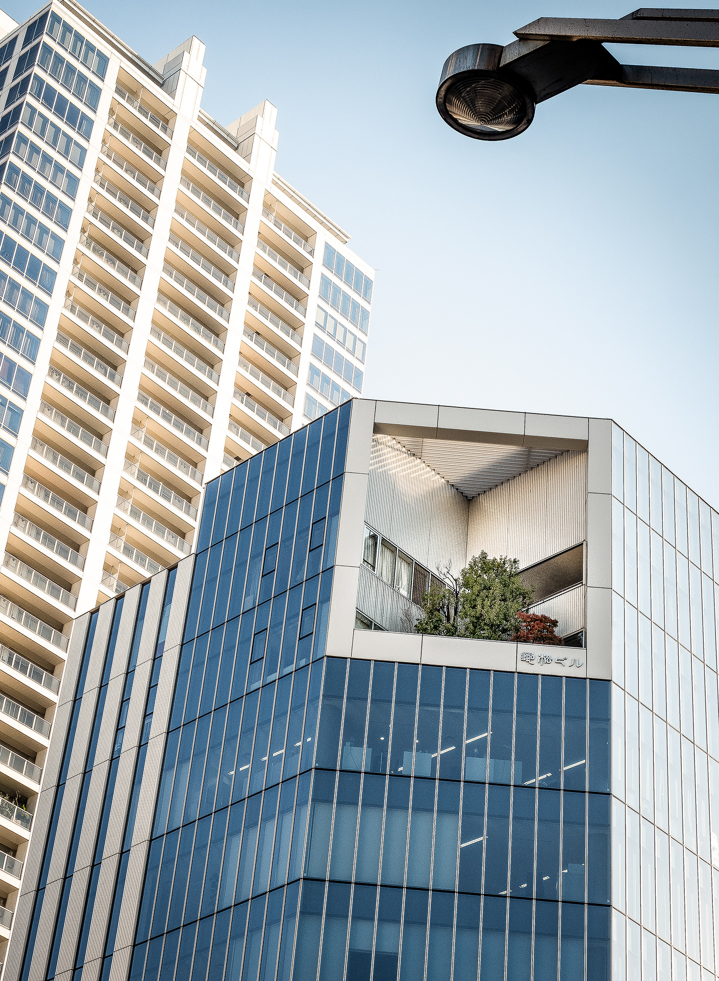 JAPON - «  Contre le ciel d’Automne … » - 17