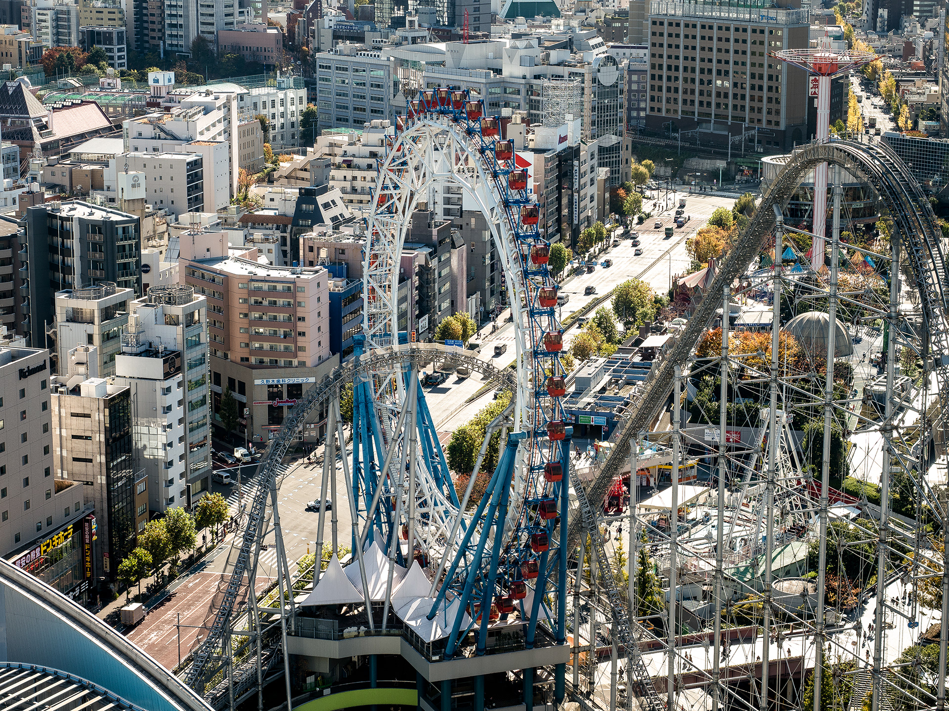 JAPON - «  Contre le ciel d’Automne … » - 3