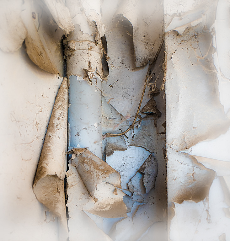 PoolArtFair 2019 : FRICHES - 14