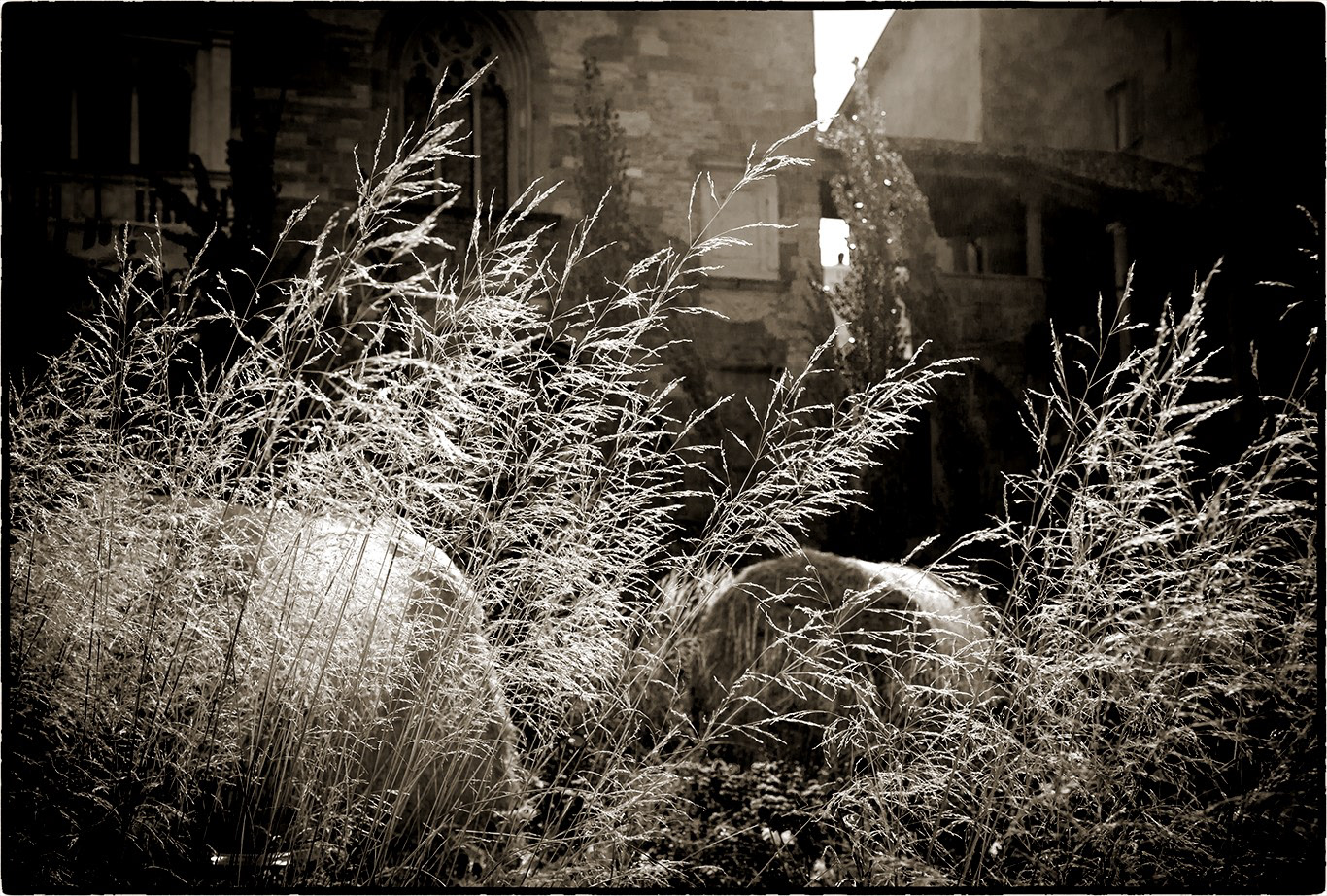 Arboressences - 6