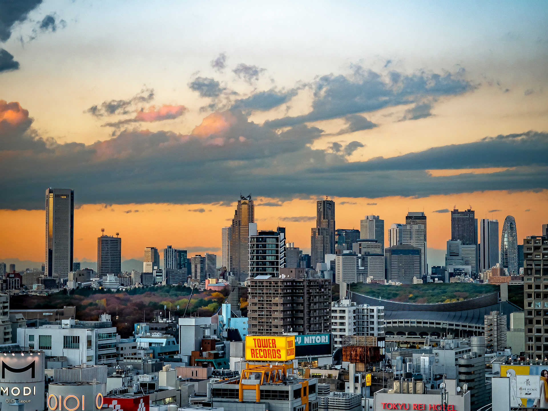 JAPON - «  Contre le ciel d’Automne … » - 15