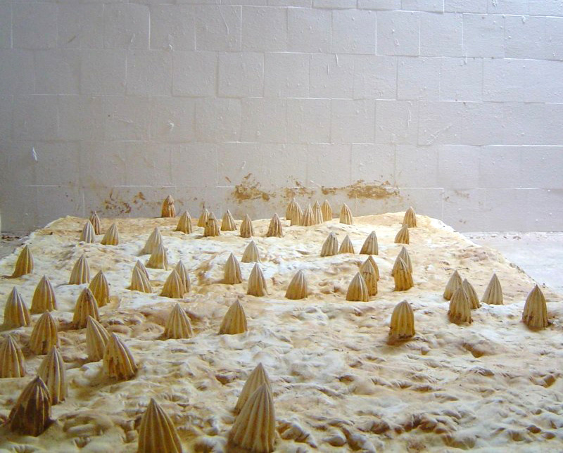  Paysage: Plâtre coulé dans terre