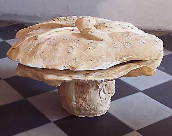  Champignon des bois: plâtre coulé dans terre