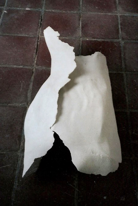 Thorax: plâtre coulé sur treillis métallique