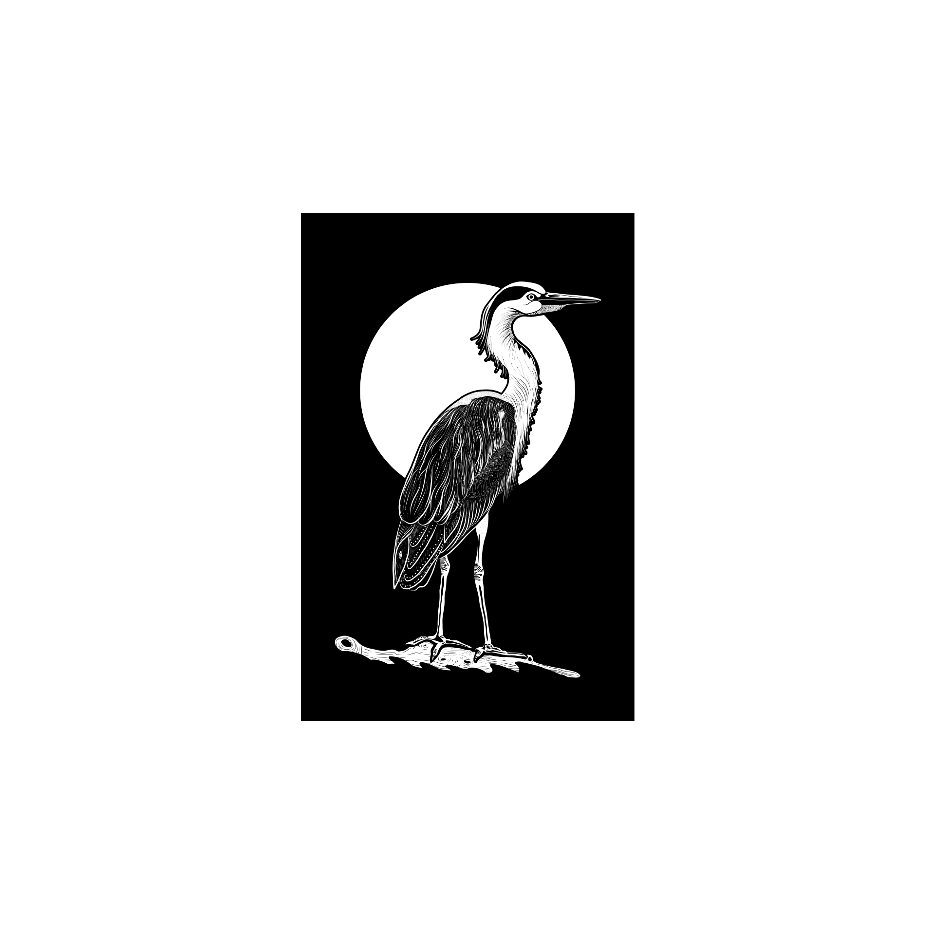Bayou Moon Heron