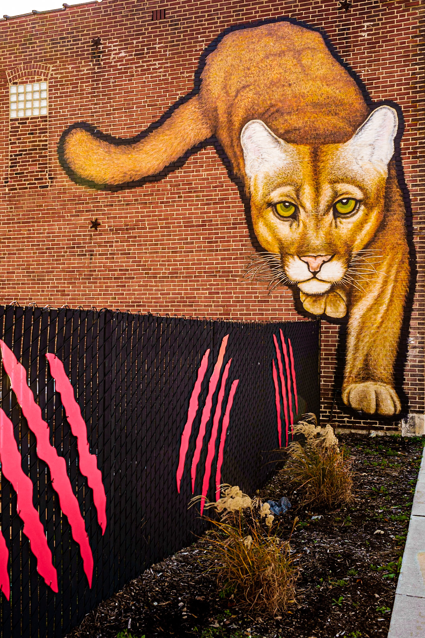 St. Louis, MO