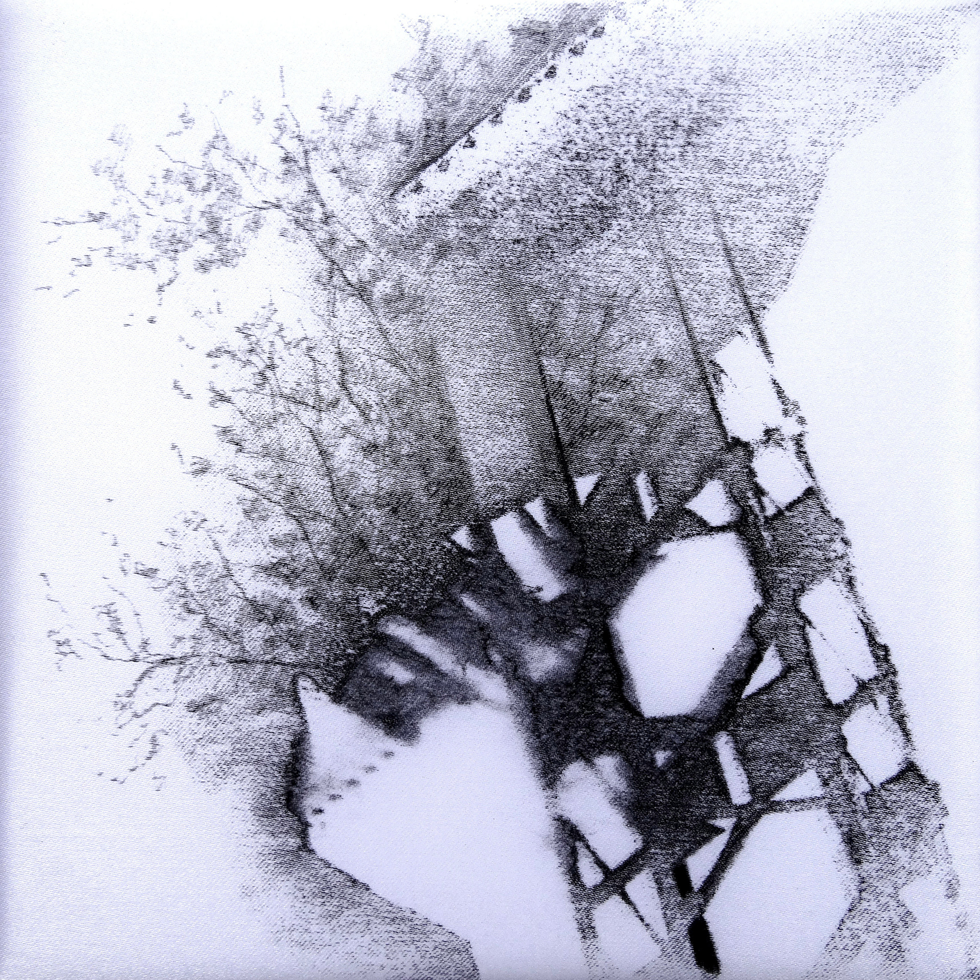 CADRE I, encre de Chine sur soie, 20/20 cm