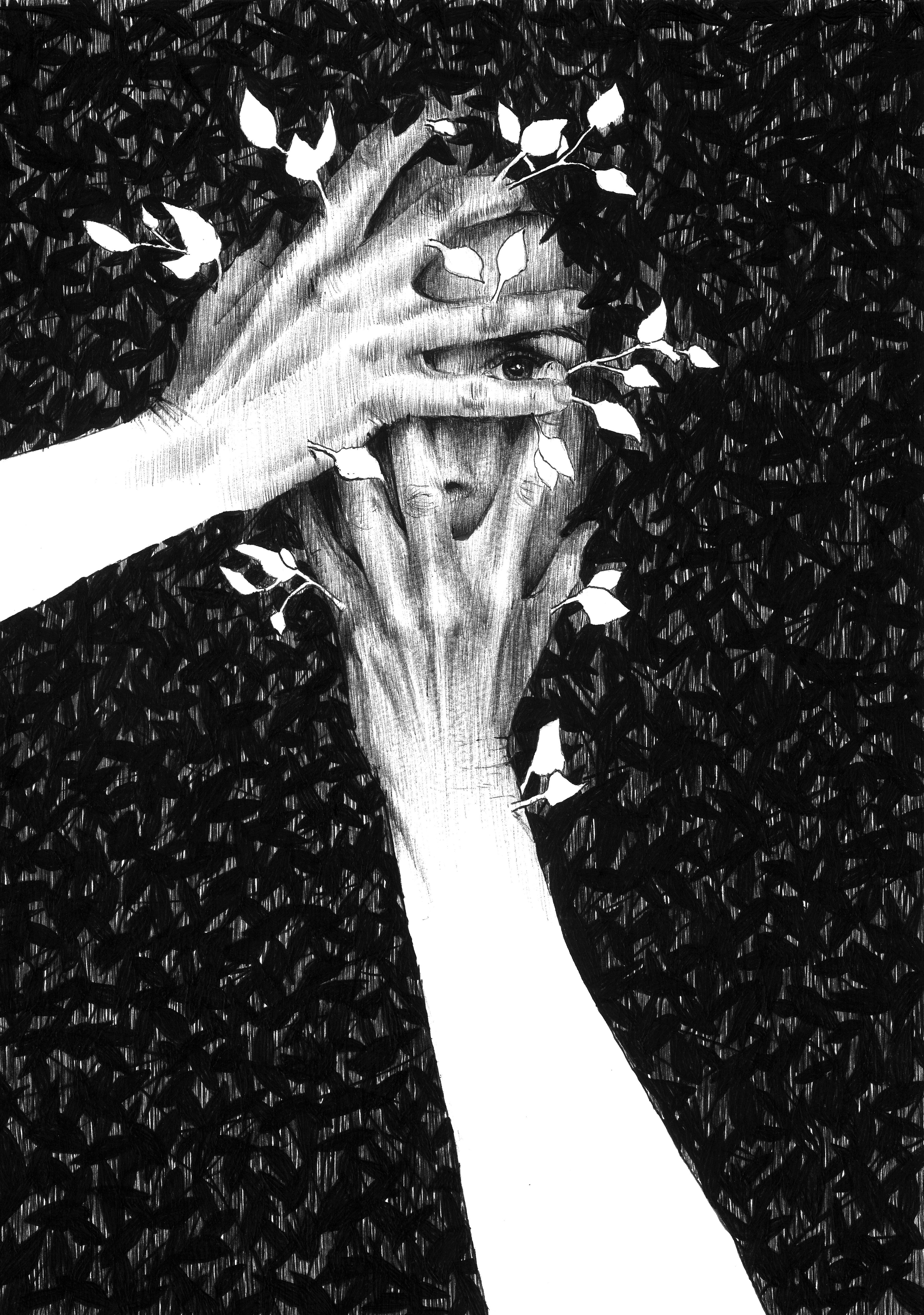 CABANE stylo BIC sur papier 30/42 cm