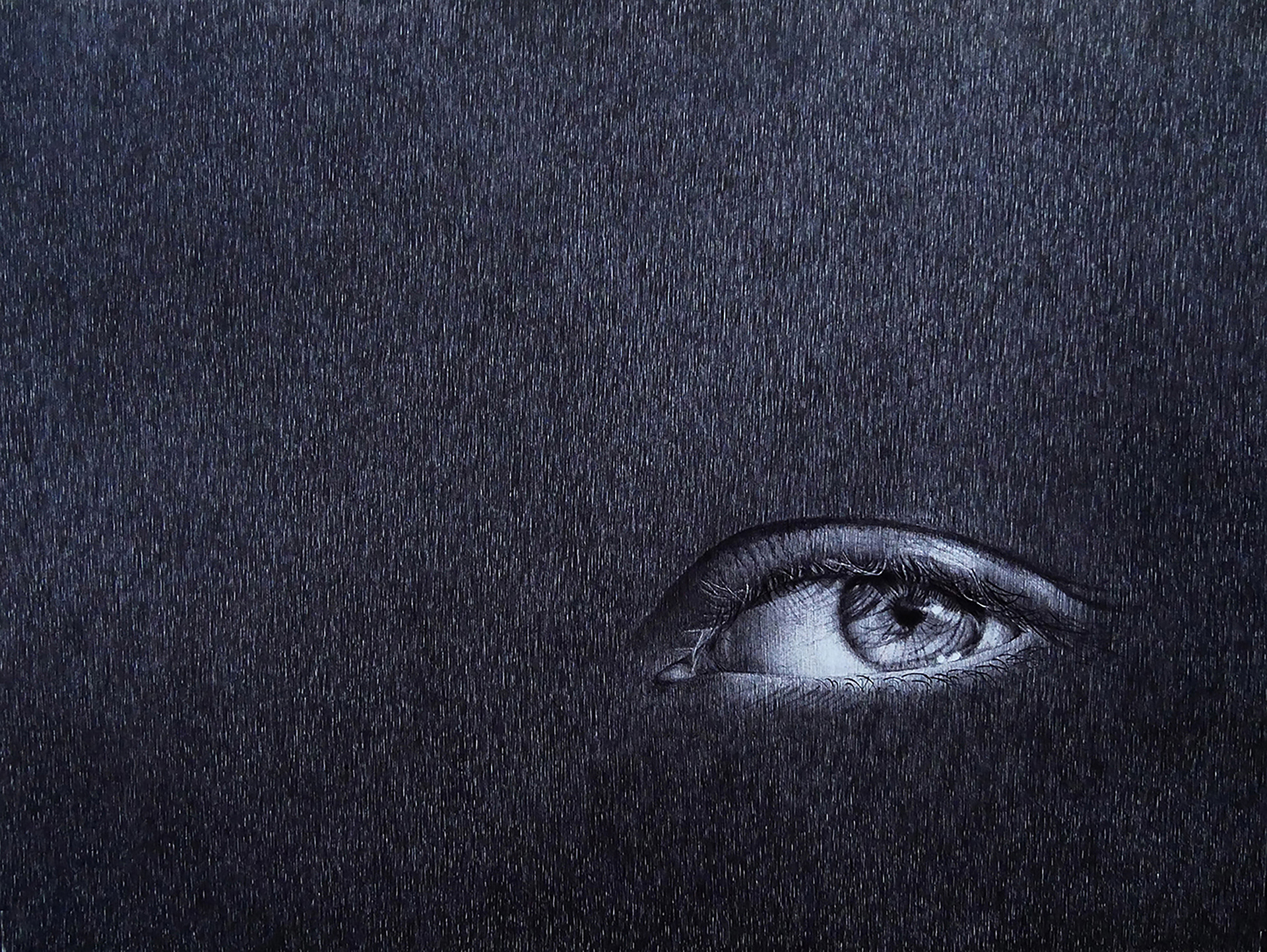  LES VIDES SONT PLEINES I, stylo BIC sur papier, 50 x 65 cm 