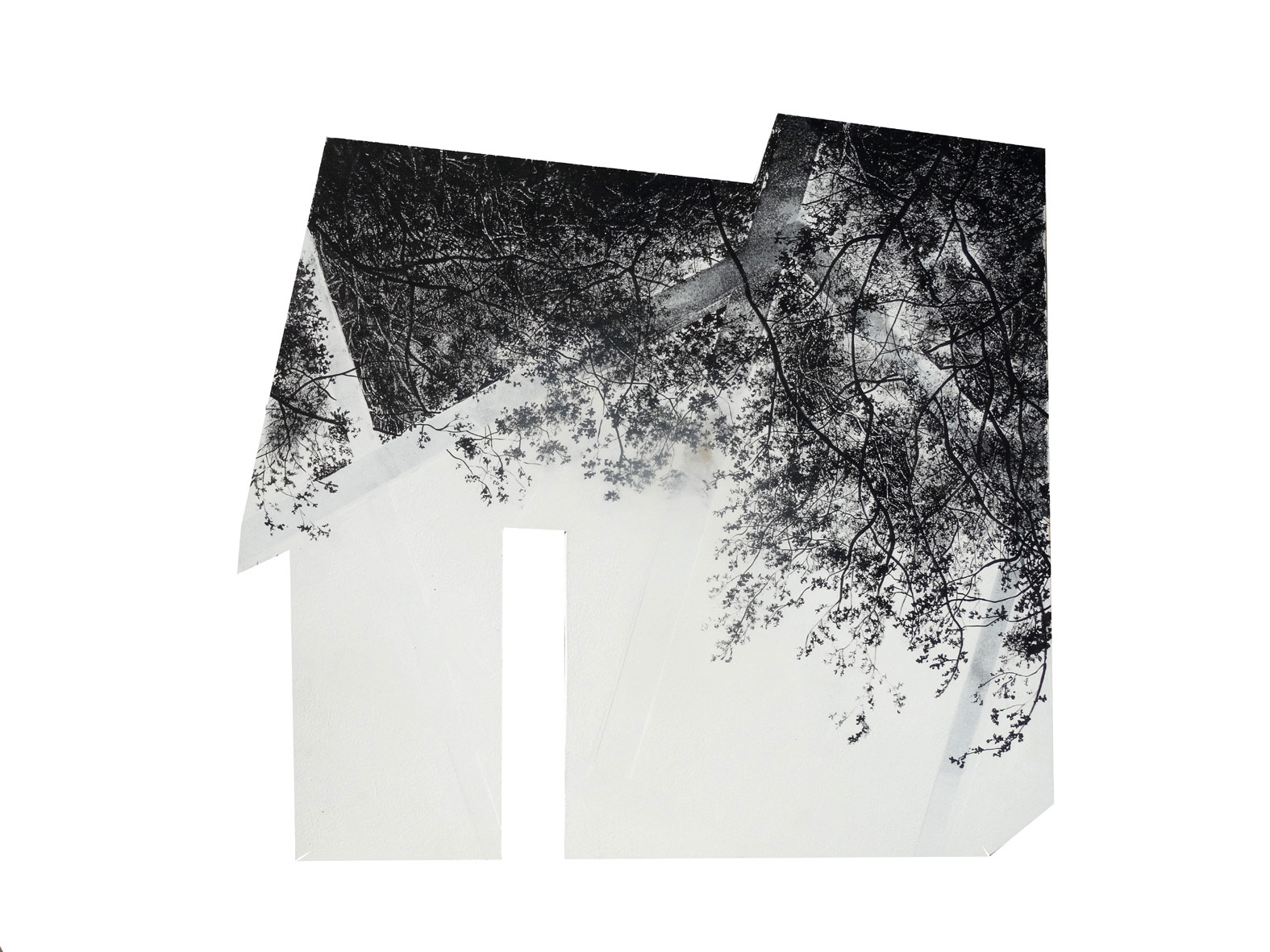 HABITACLE, encre de Chine, acryl sur bois découpé, 110/80 cm