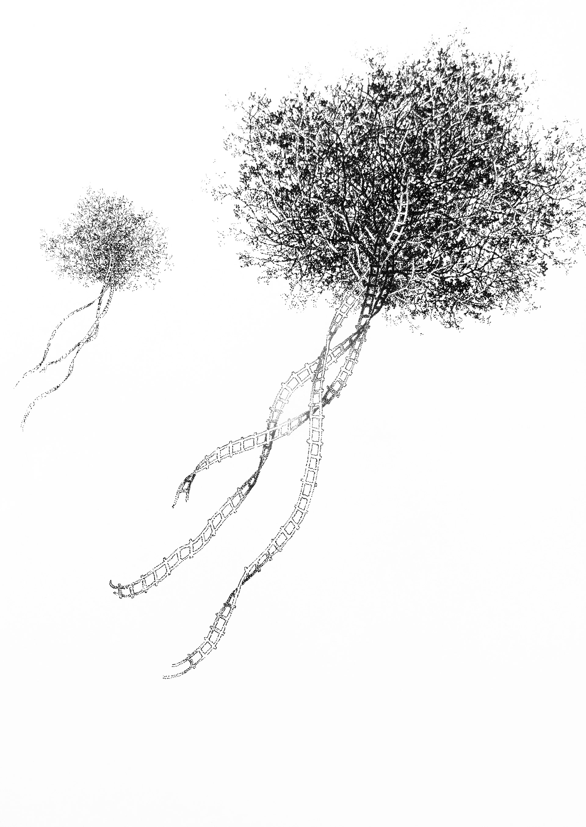 PARTIR I, encre de Chine sur papier, 21 x 29,7 cm