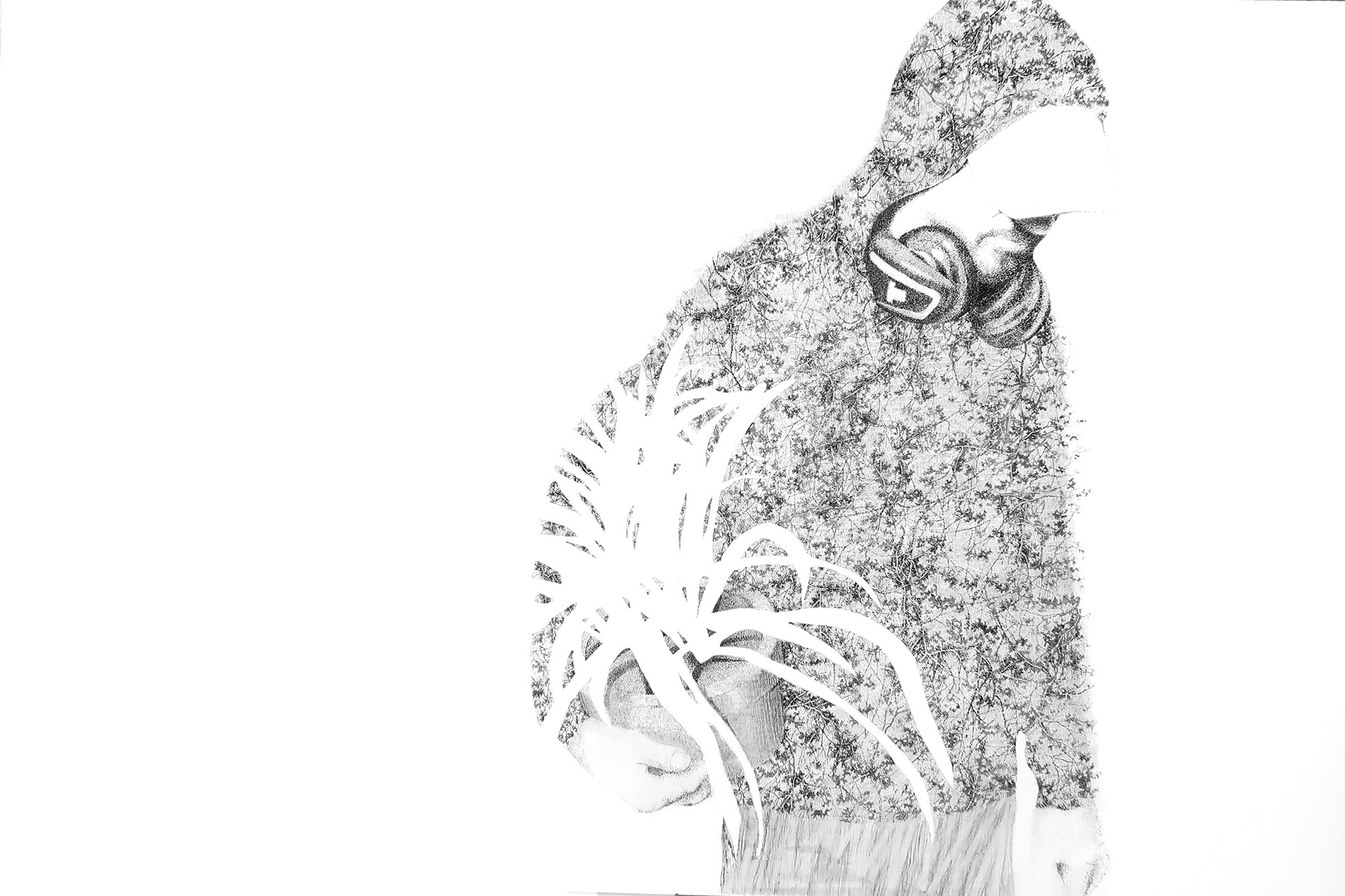 MAXIME, encre de chine sur bois, 120/75 cm