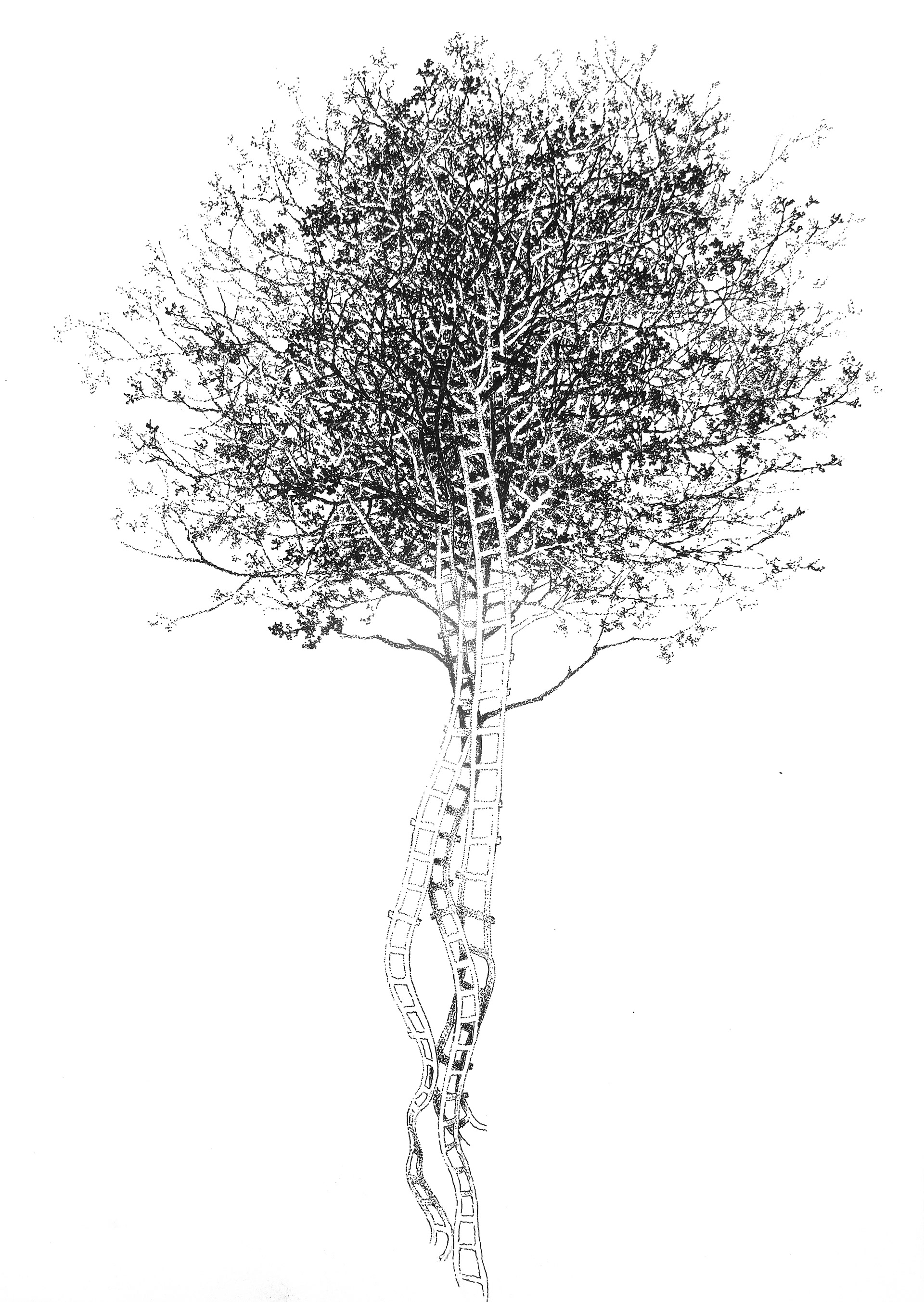 PARTIR III, encre de Chine sur papier, 21 x 29,7 cm