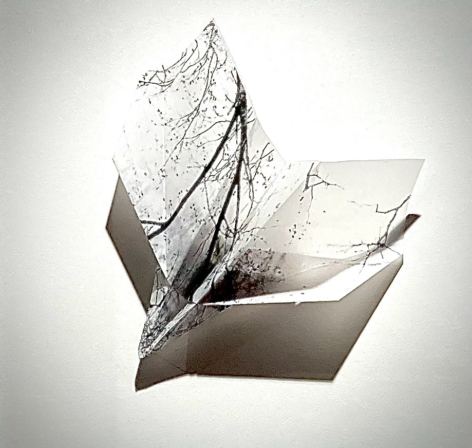 origami en papier calque