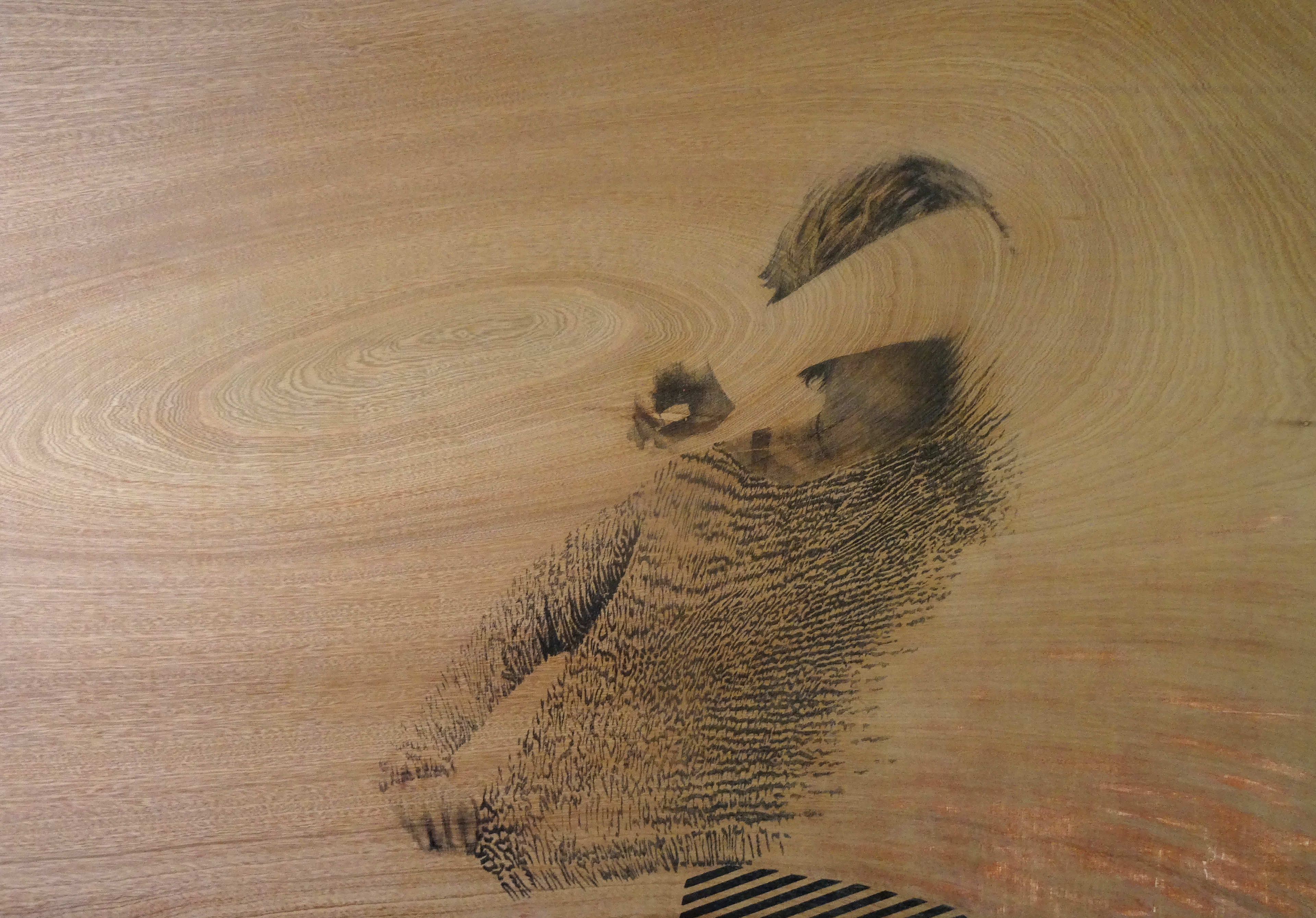 LE MONDE A PORTE DE MAINS V,  encre de Chine, crayon papier sur bois, 80/60 cm