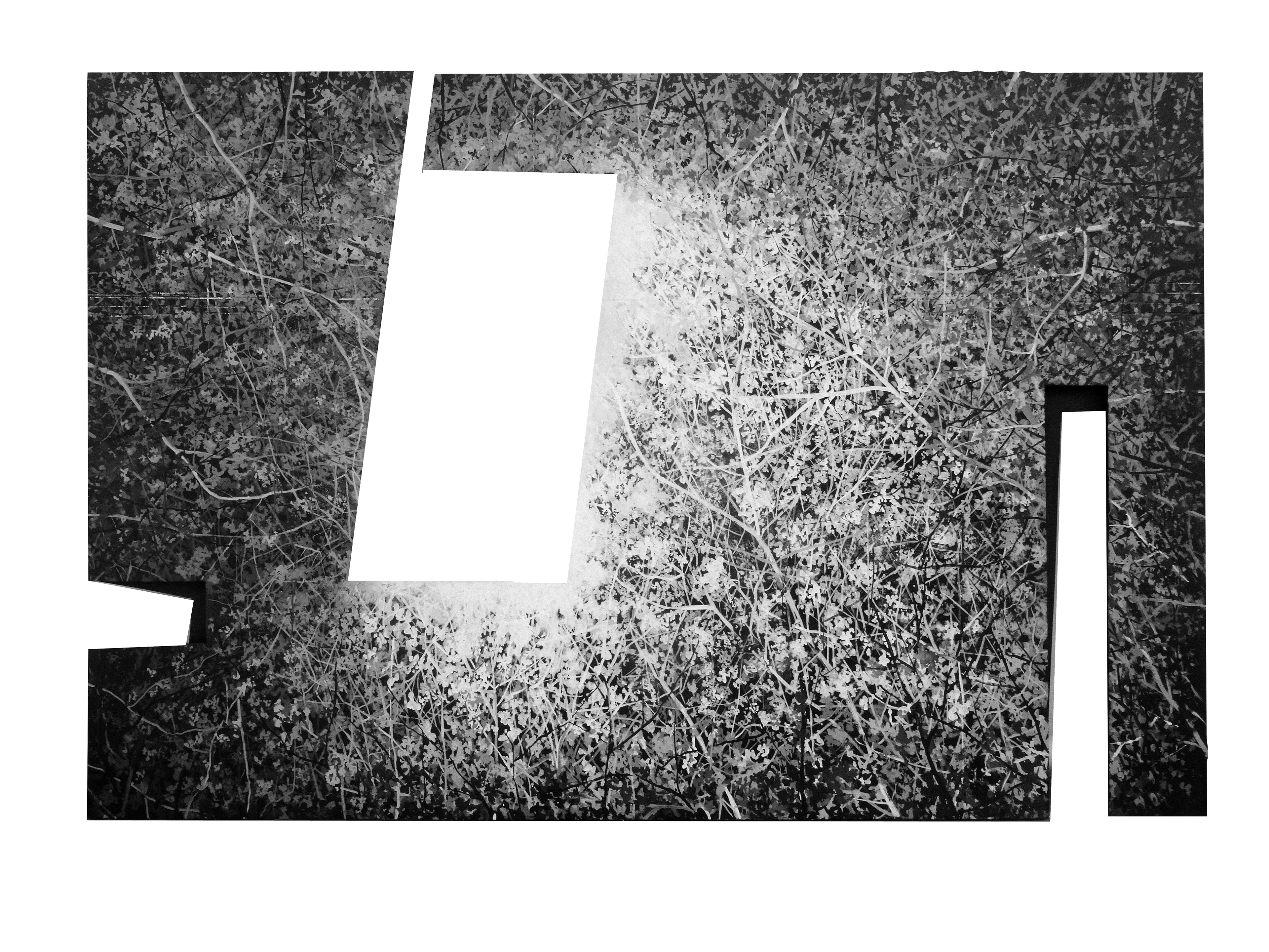 HABITACLE II, encre de Chine, acryl sur bois découpé, 120/60 cm