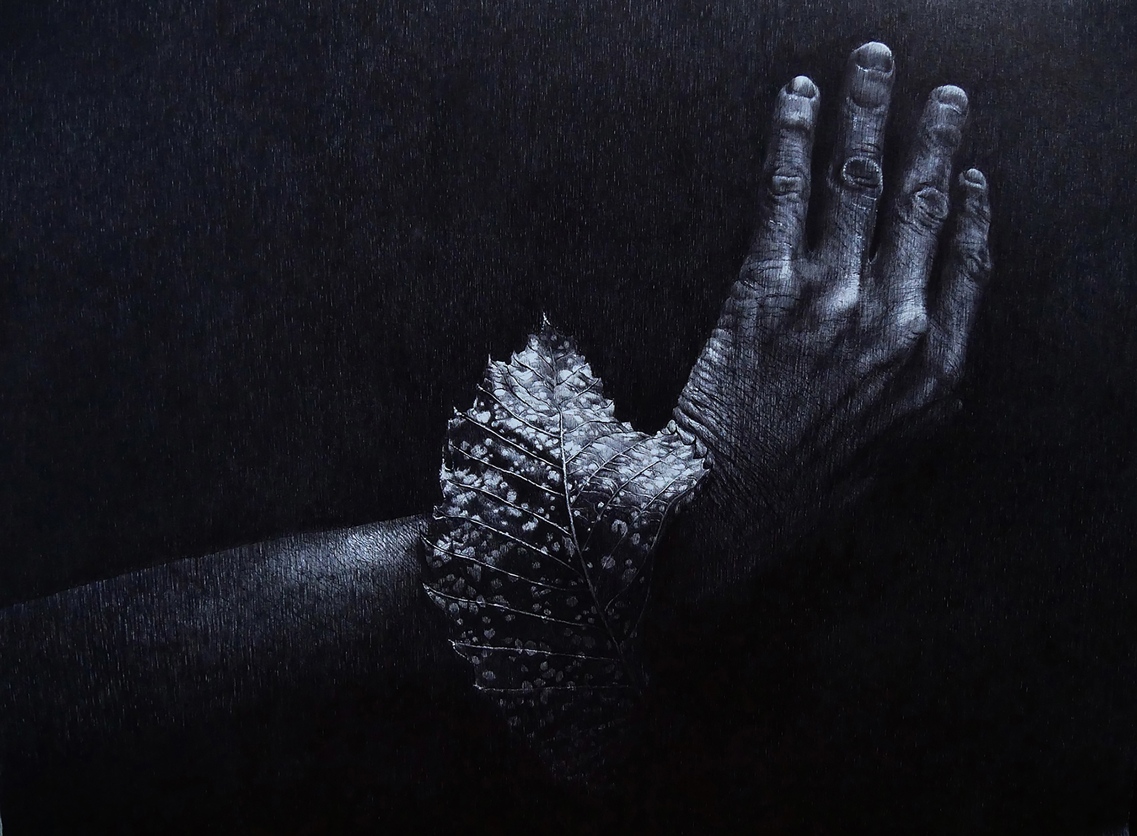 BIJOUX I, stylo BIC sur papier, 84 x 60 cm