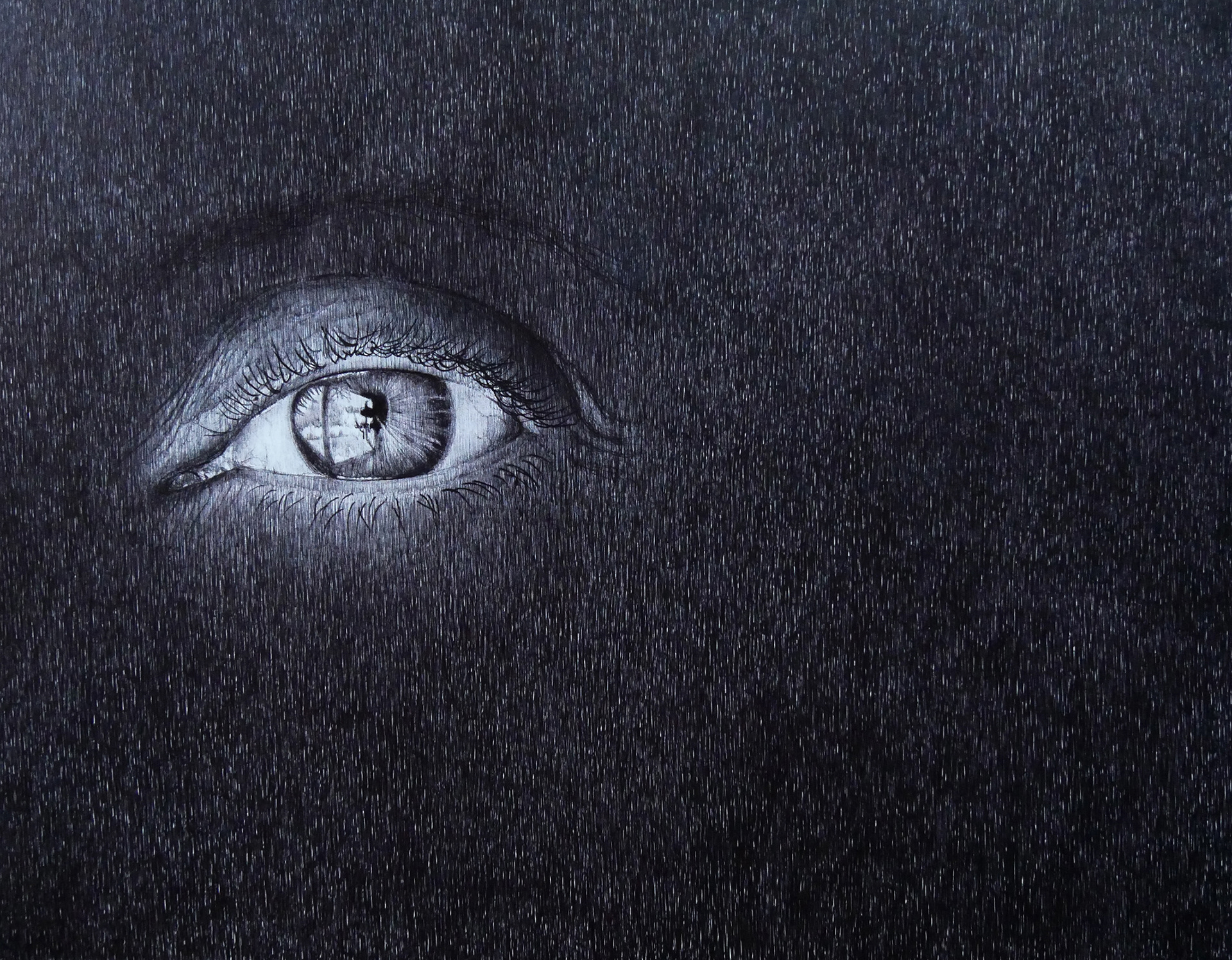  LES VIDES SONT PLEINES II, stylo BIC sur papier, 50 x 65 cm