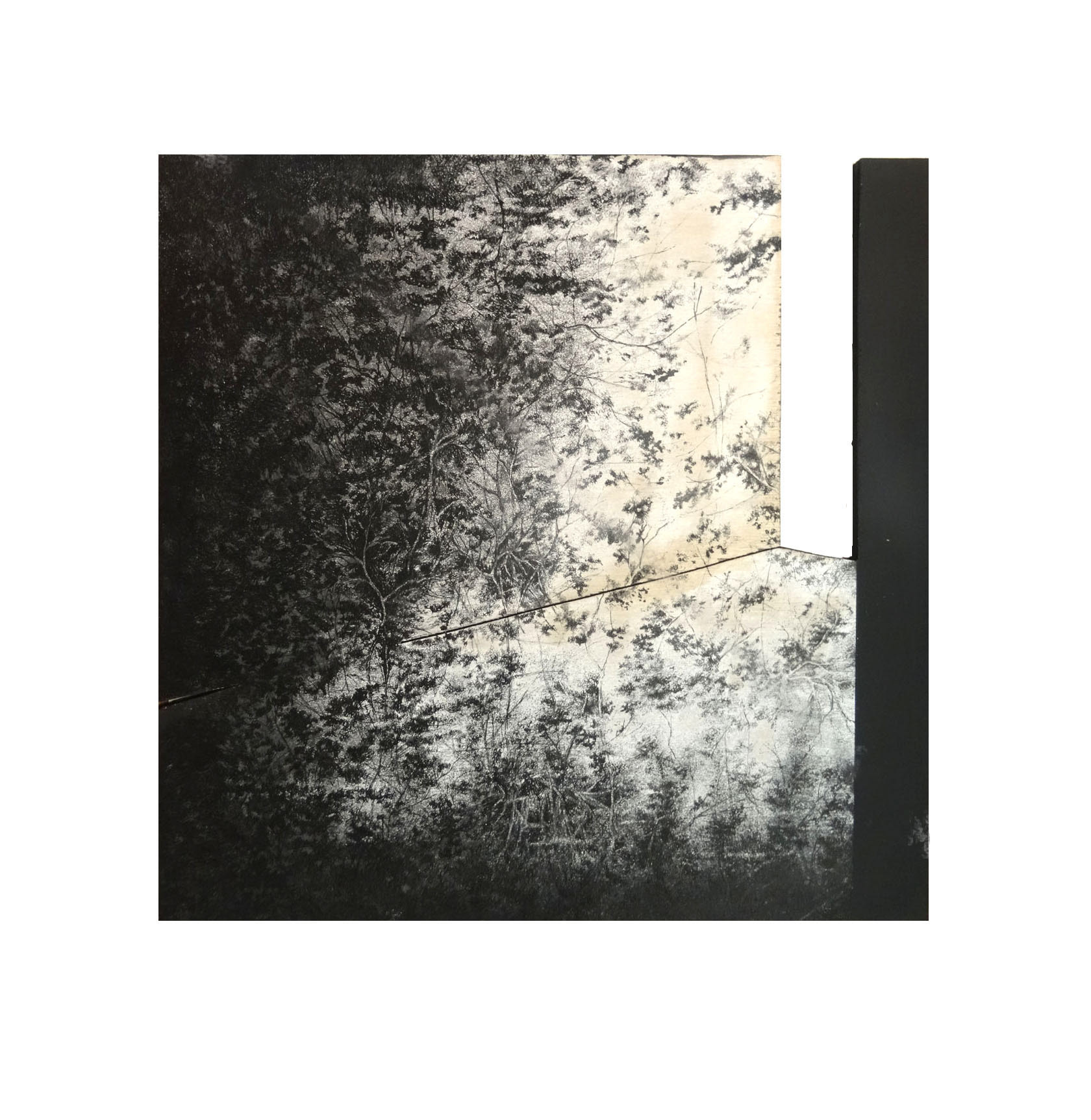 LA PORTE, encre de Chine et acryl sur bois, 50/50 cm