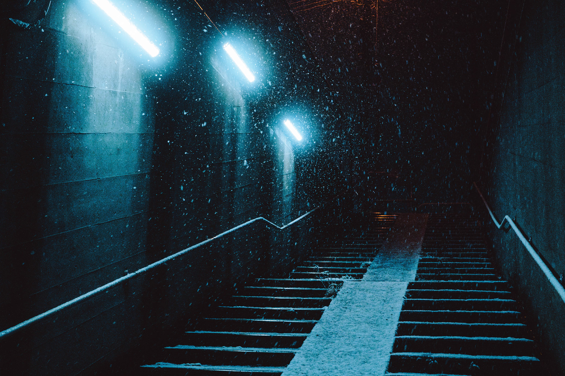 光と雪のパレードへの入り口 / Entrance to the Parade of Snow and Light