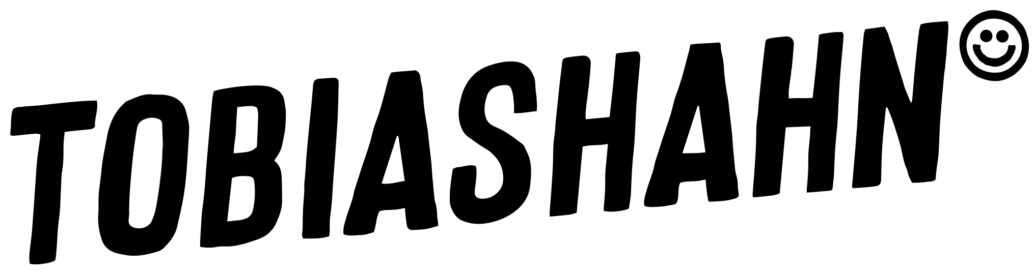 Logo von Tobias Hahn