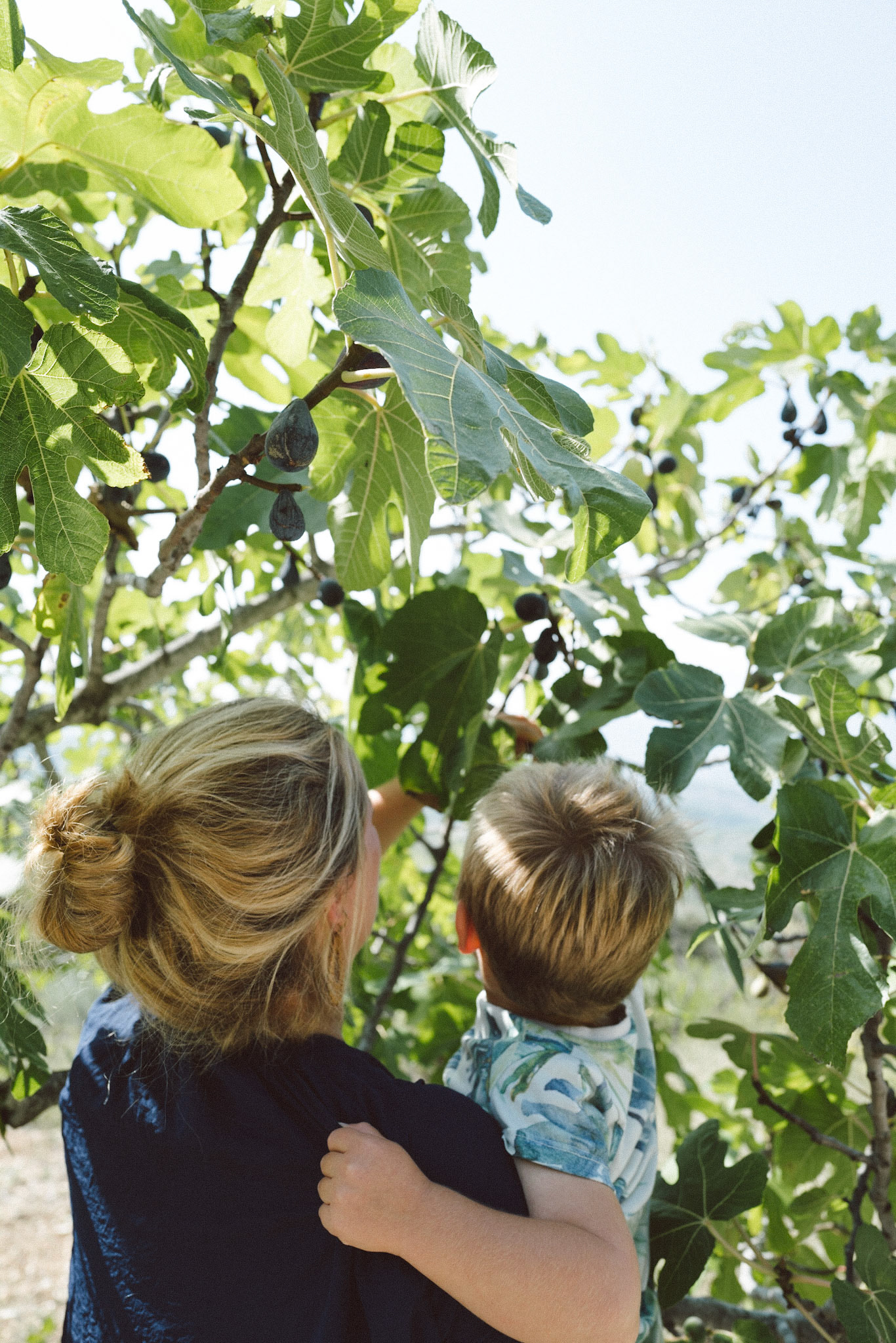 Almudaina, Septembre 2019