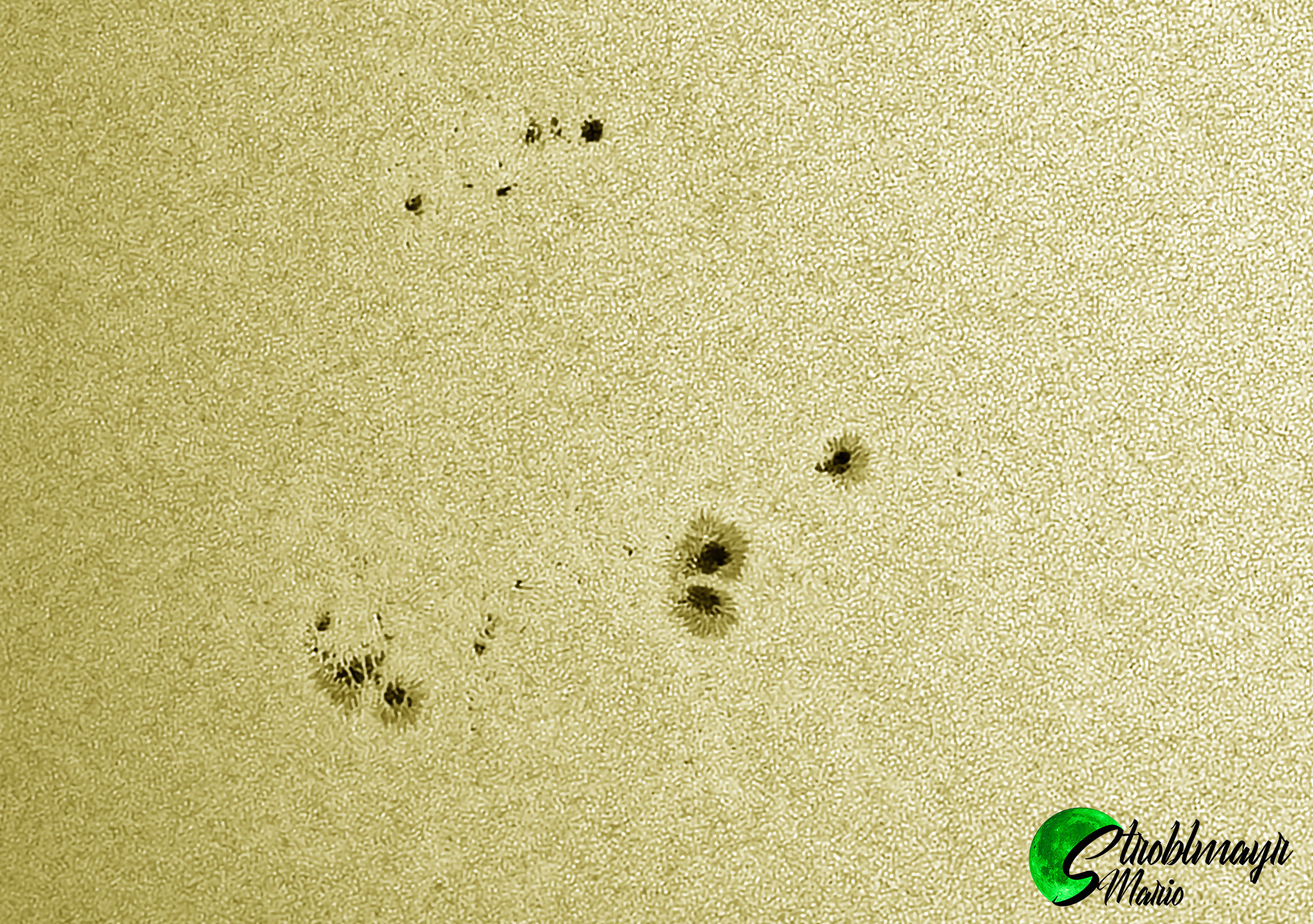 Sonnenfleck im Weißlicht mit 130mm Apo am 29.6.2024