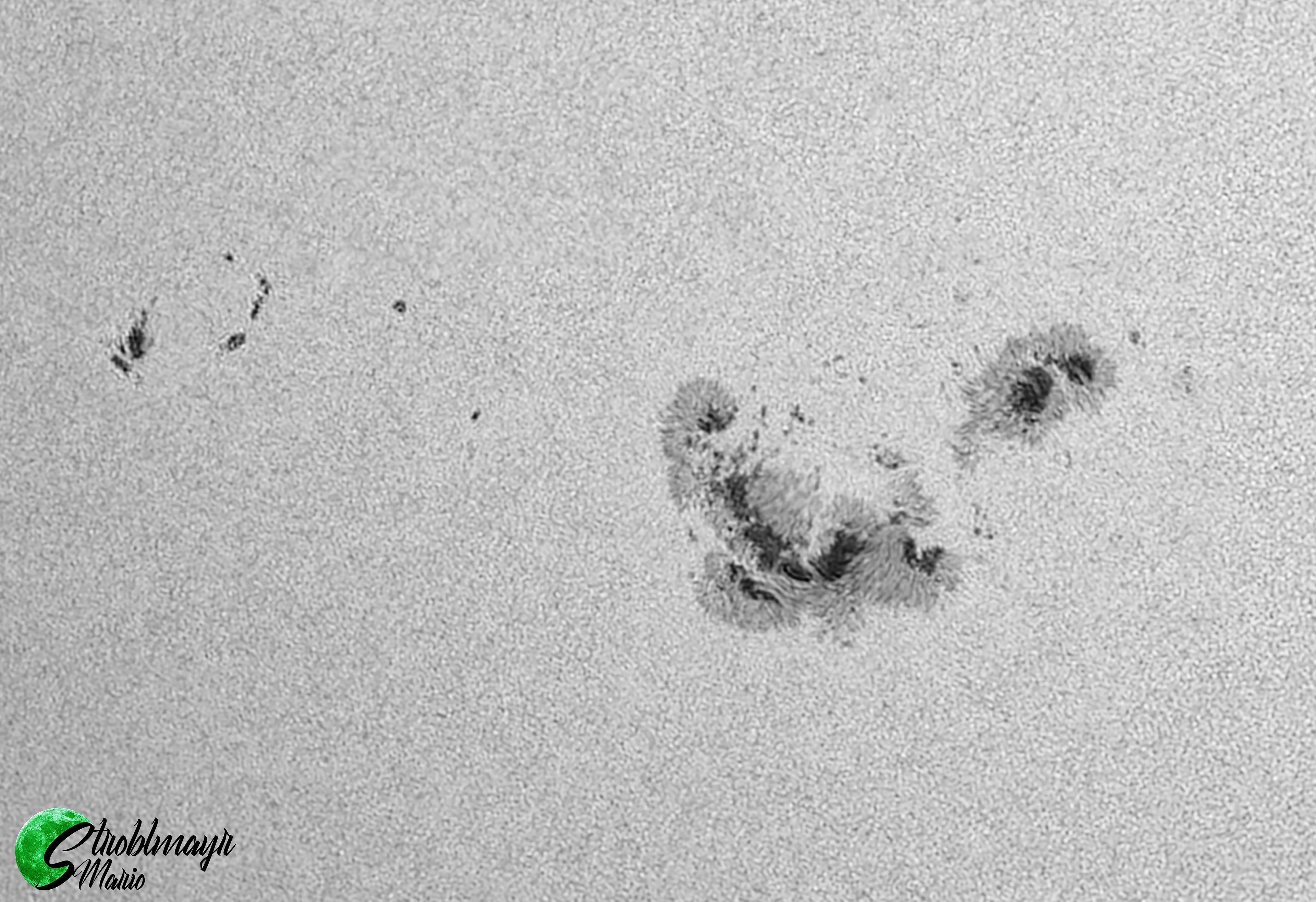 Sonnenfleckengruppe im 130mm Refraktor am 5.5.24
