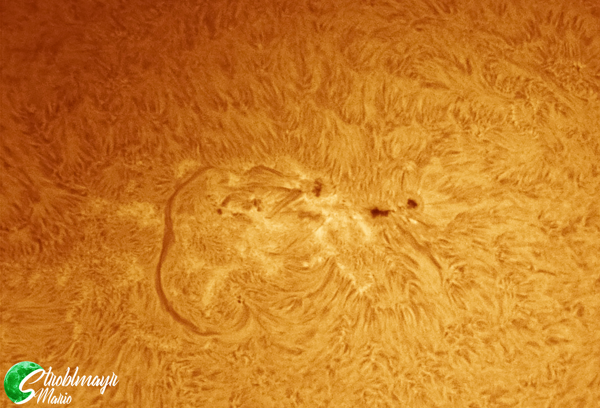 Sonnenflecken und Filament in H-Alpha am 13.7.2022 im 120/1000 PST-Umbau