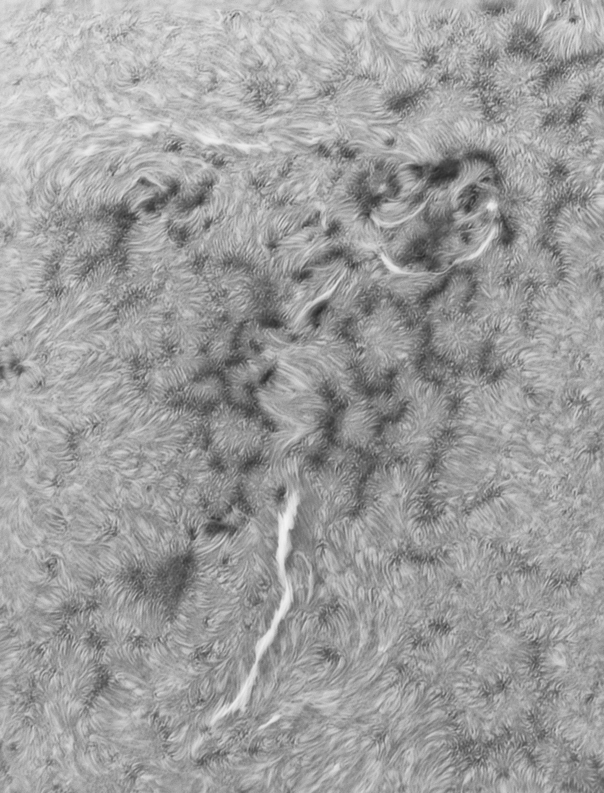 Sonne mit dem Heliostar 76 am 4.3.25