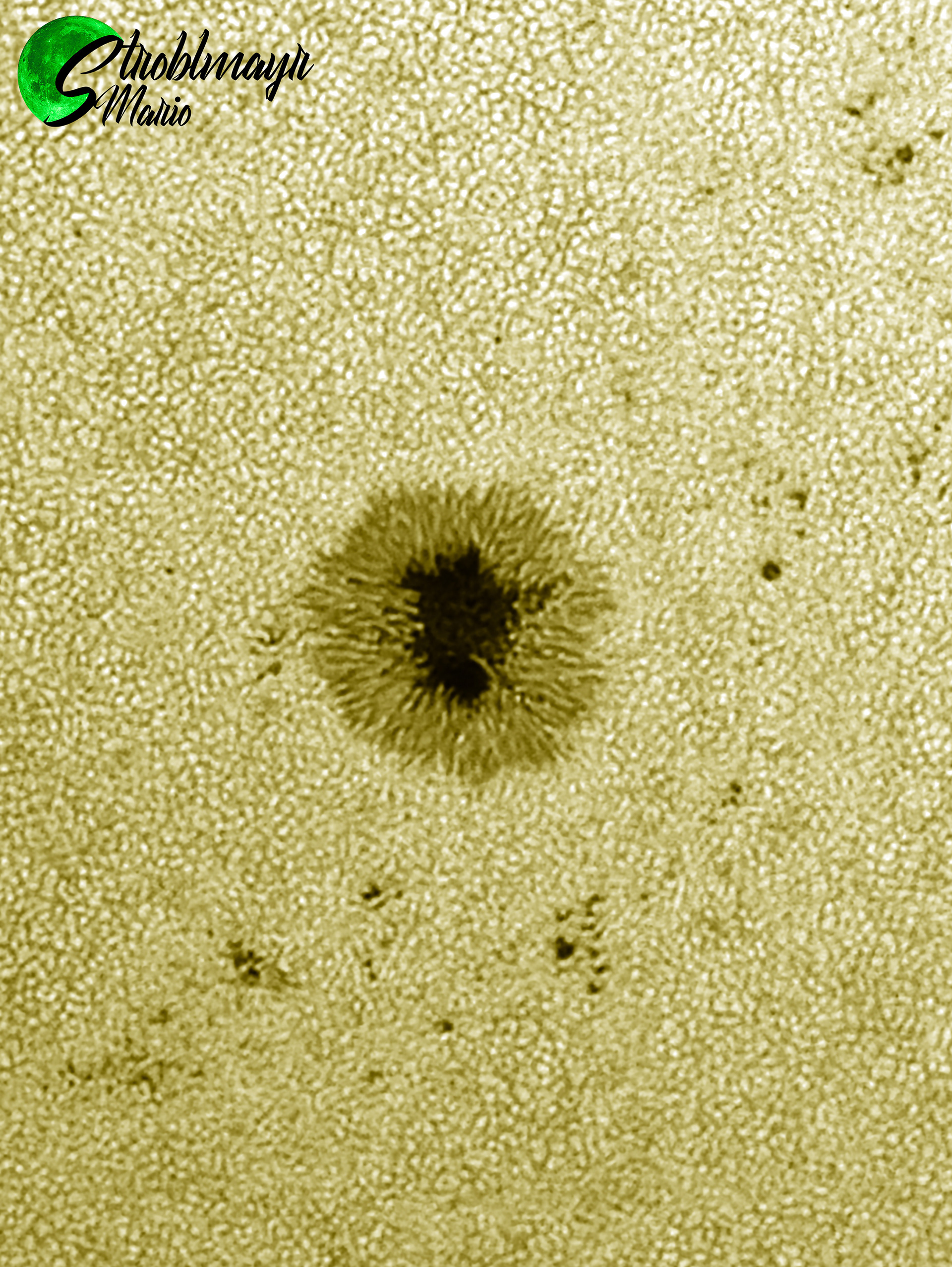 Sonnenfleck im Weißlicht mit 130mm Apo am 29.6.2024