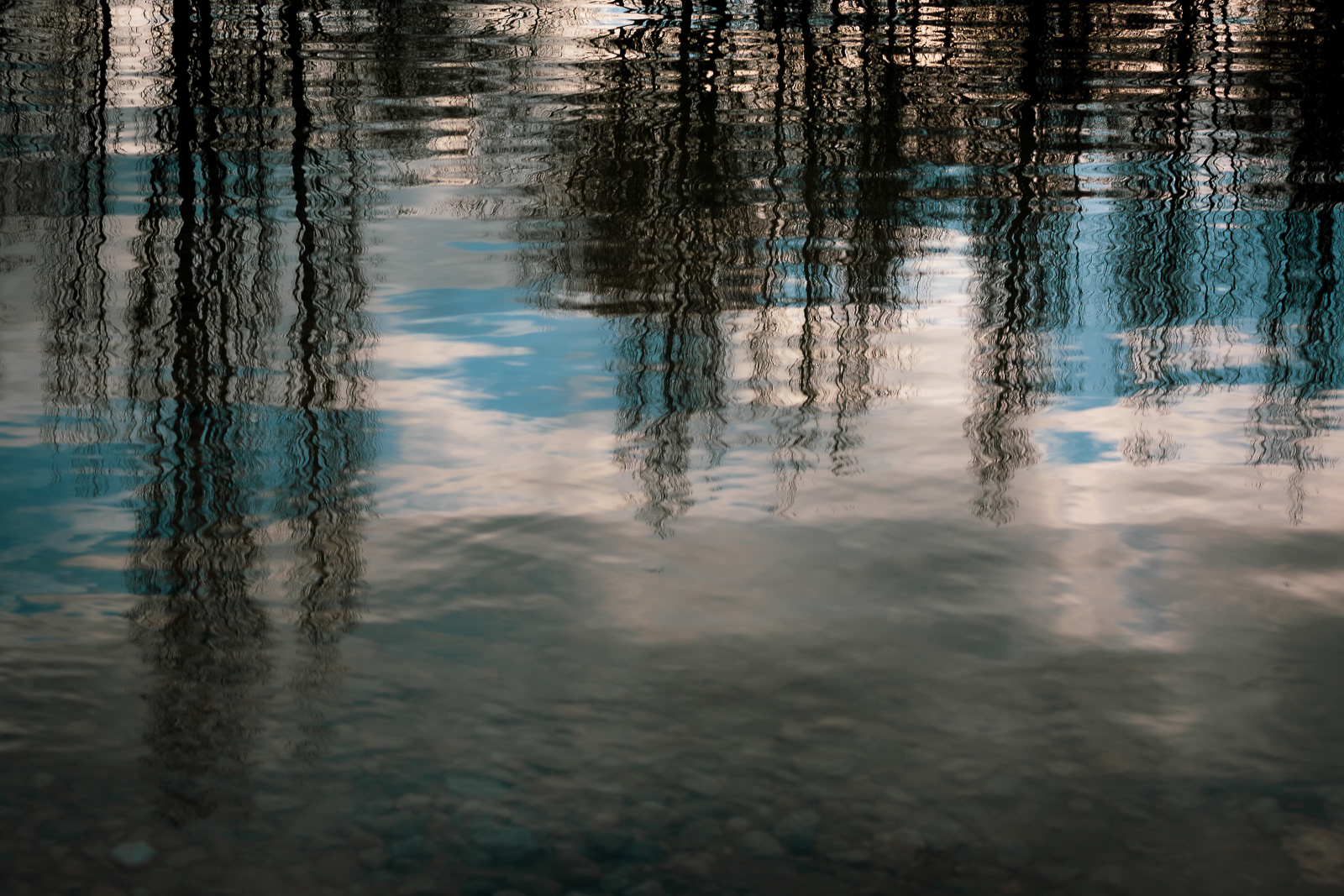 Tree reflections