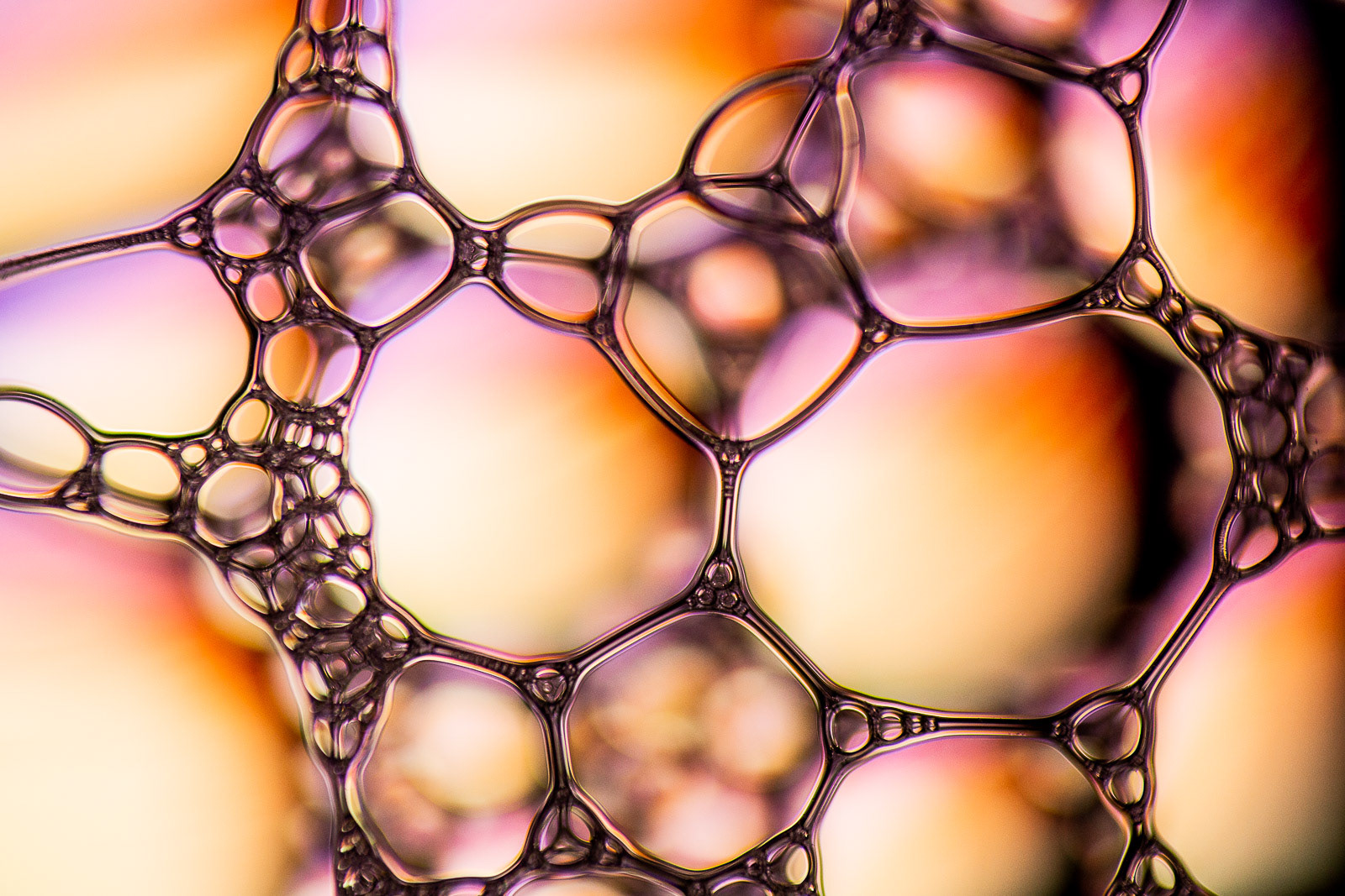 Bubbles II
