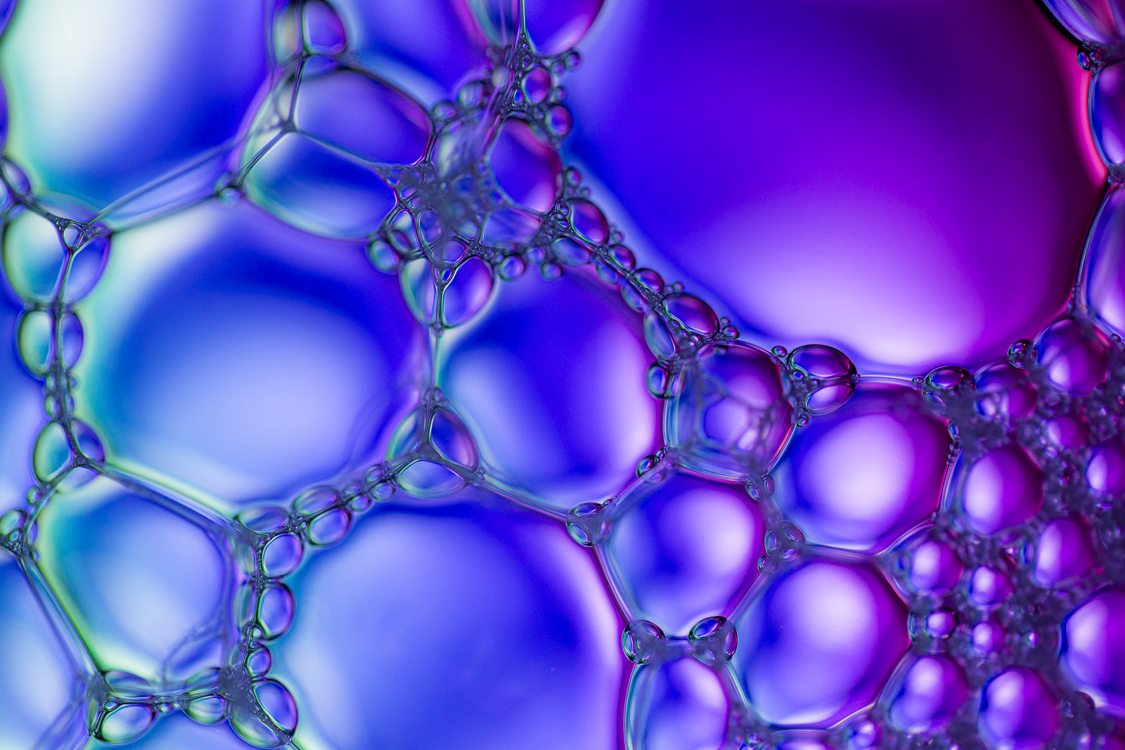 Bubbles III