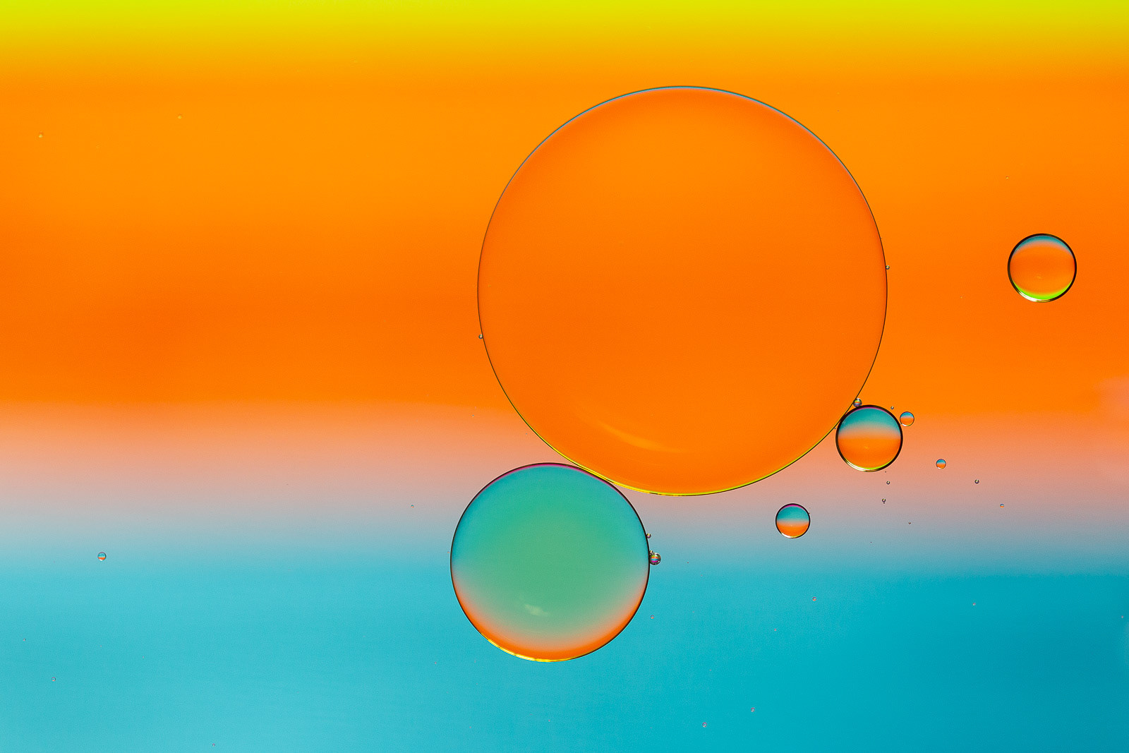 Oil circle