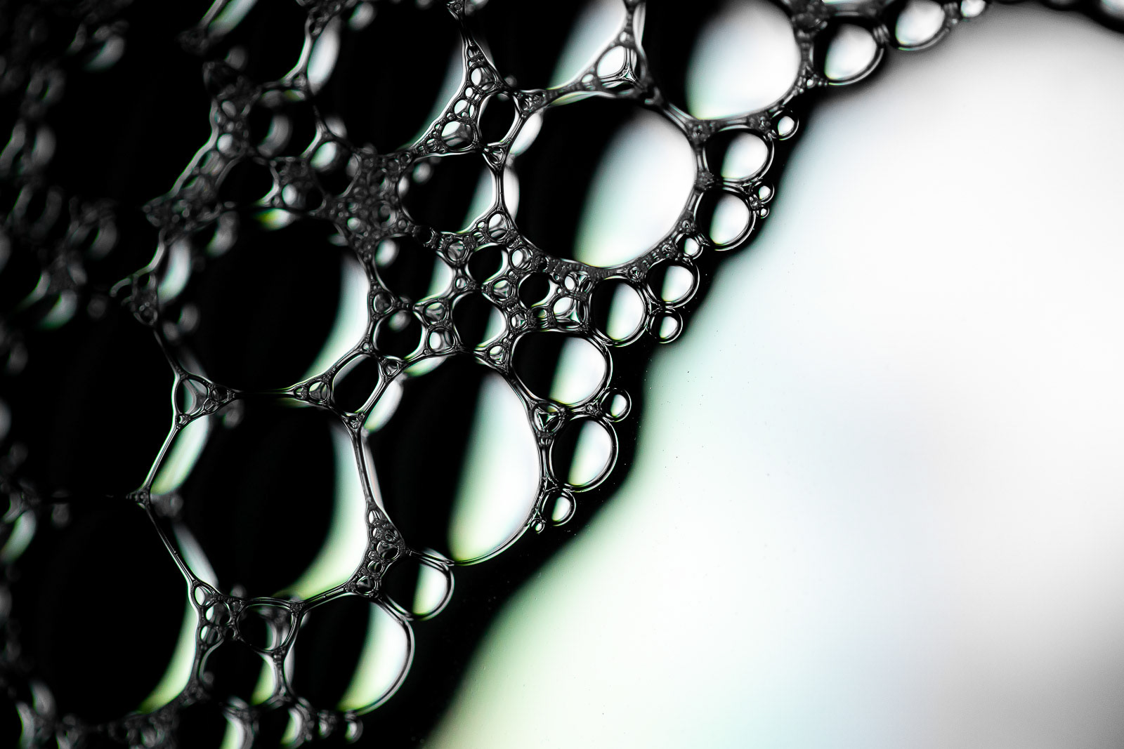 Black and white bubbles